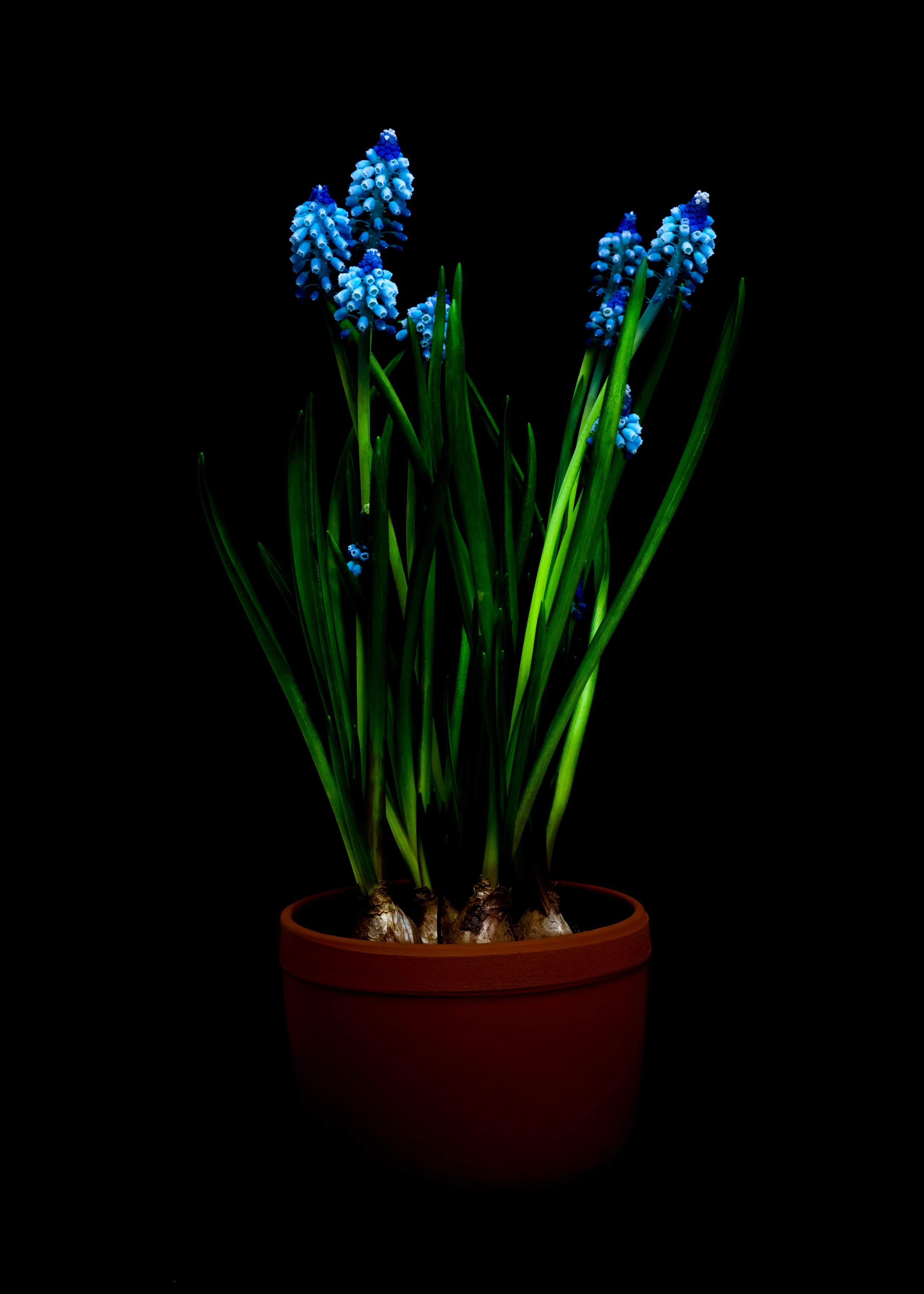 Эксперименты. Фотосессии и репортаж — Фотограф в Москве — Рина Серёгина