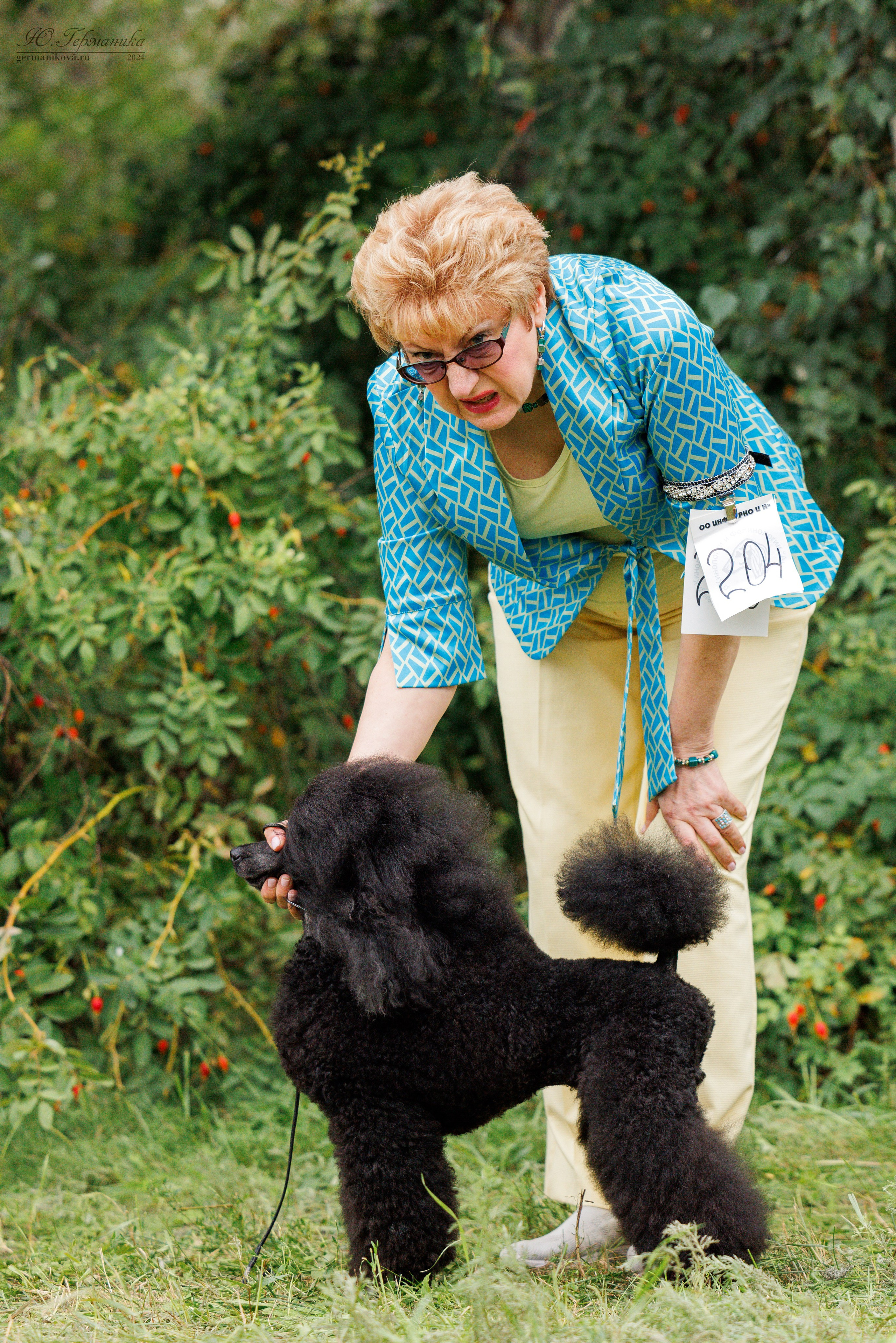 Астана 2хCACIB 17-18.08.2024. Фотограф-анималист Юлия Германика