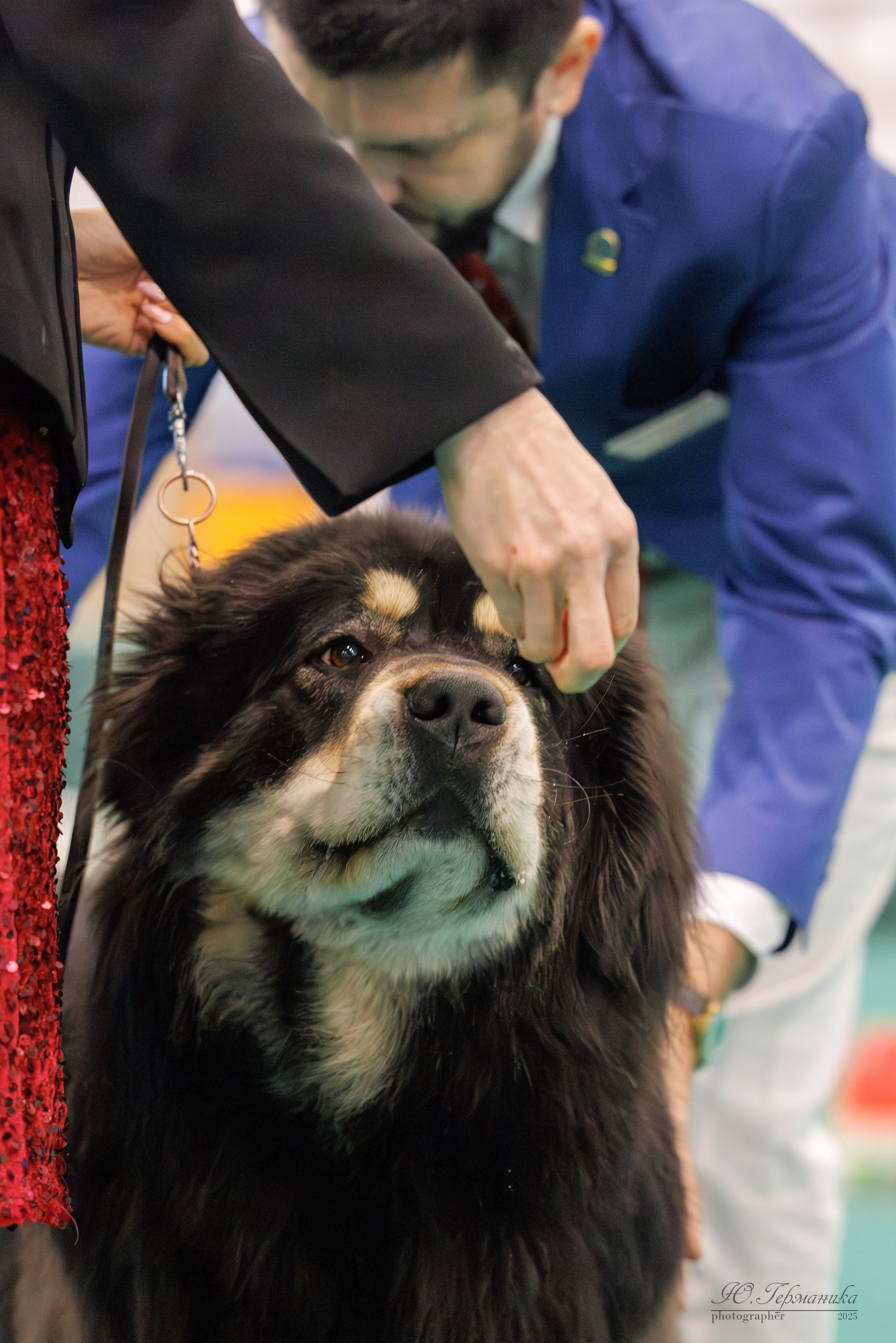 Минск 1-2.03.2025. Фотограф-анималист Юлия Германика