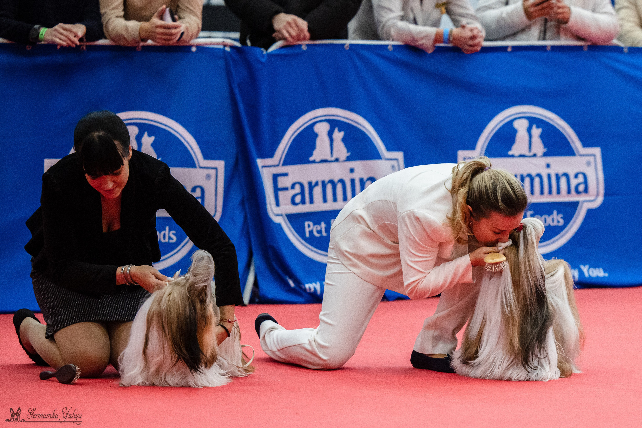 Нижний Новгород 21-22.10.2023. Фотограф-анималист Юлия Германика