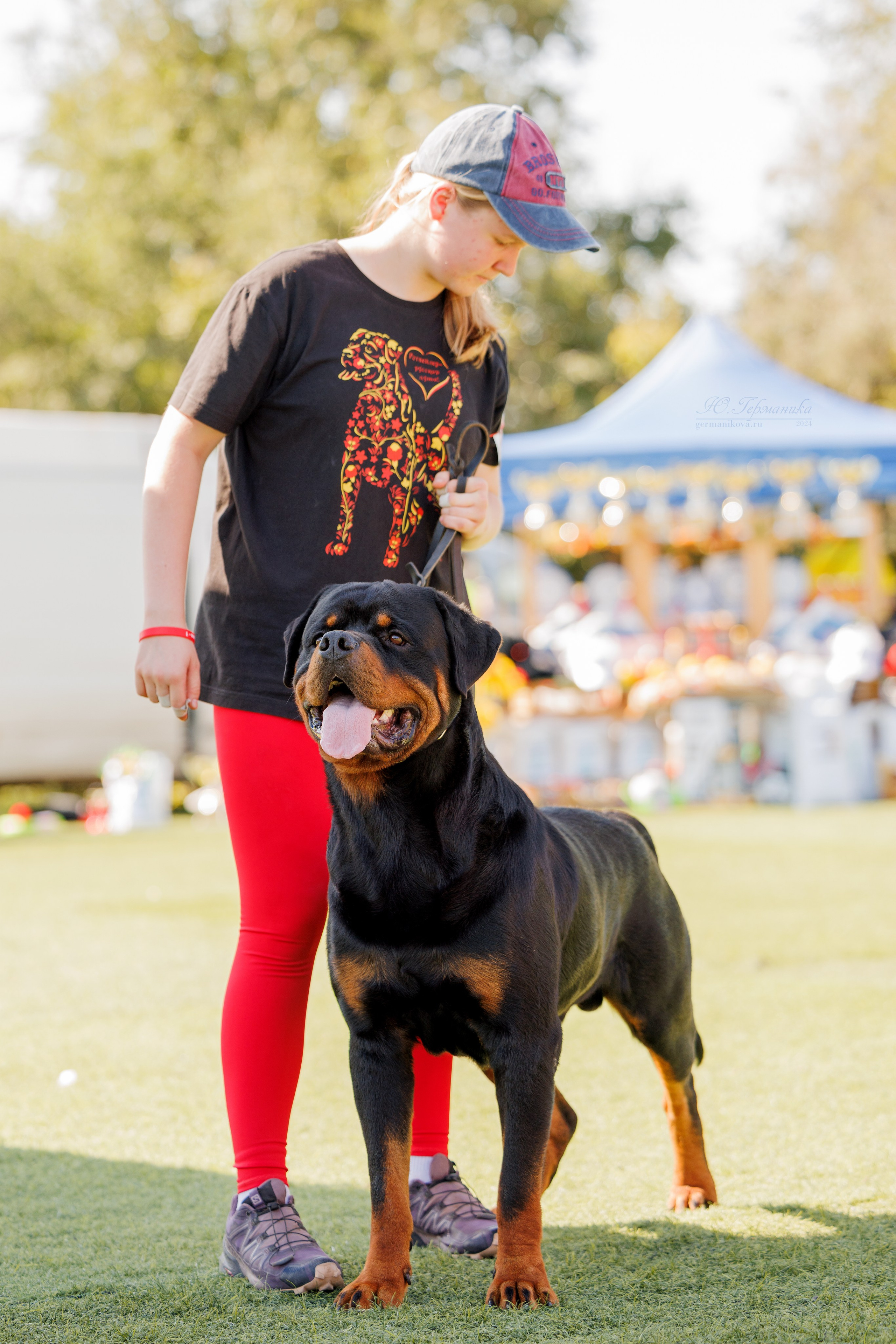 Анапа ротвейлеры 14-15.09.2024. Фотограф-анималист Юлия Германика