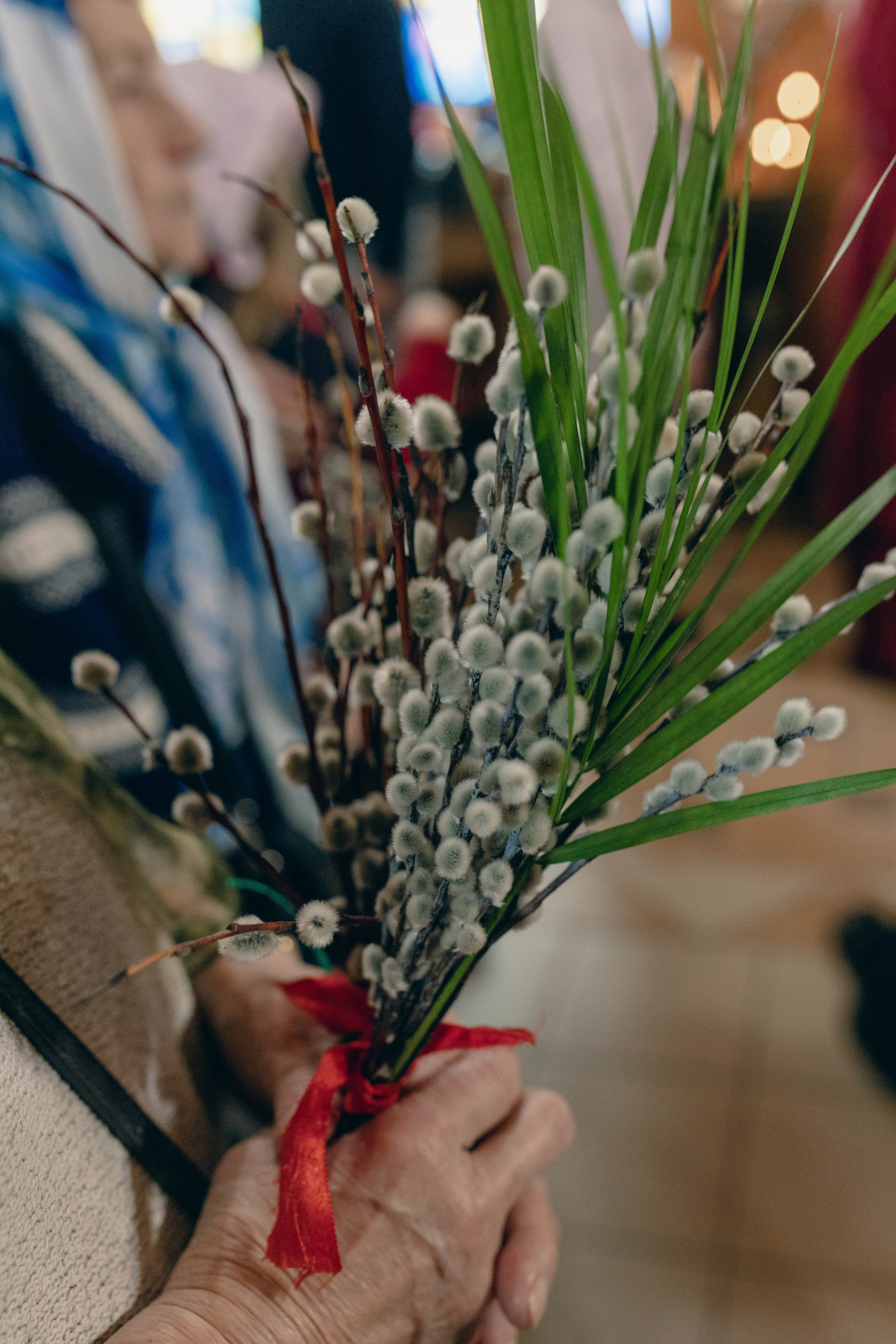 Вербное Воскресение. Артеменкова Анна Фотограф