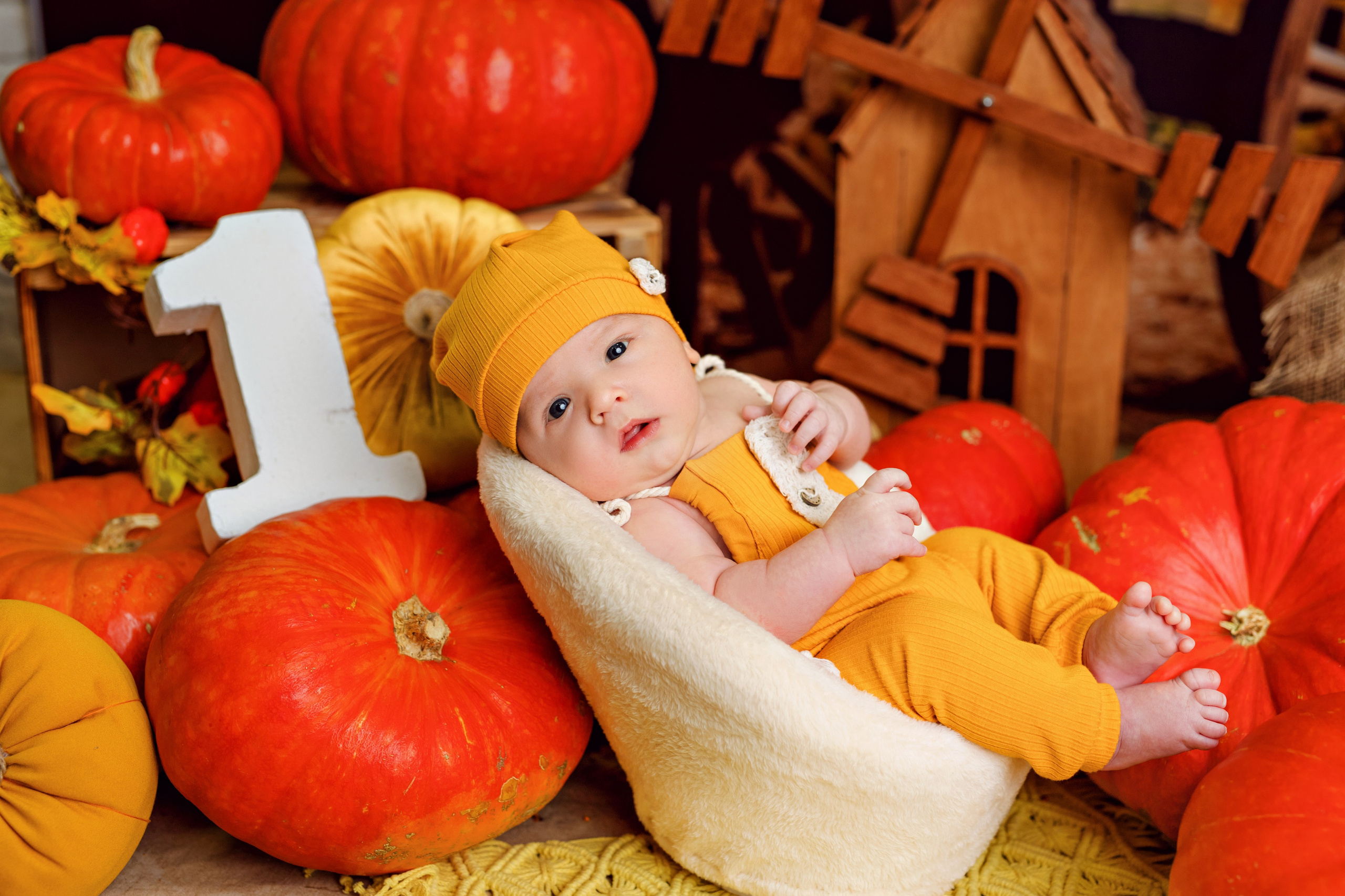 Тыквы. Фотограф Болотова Иветта