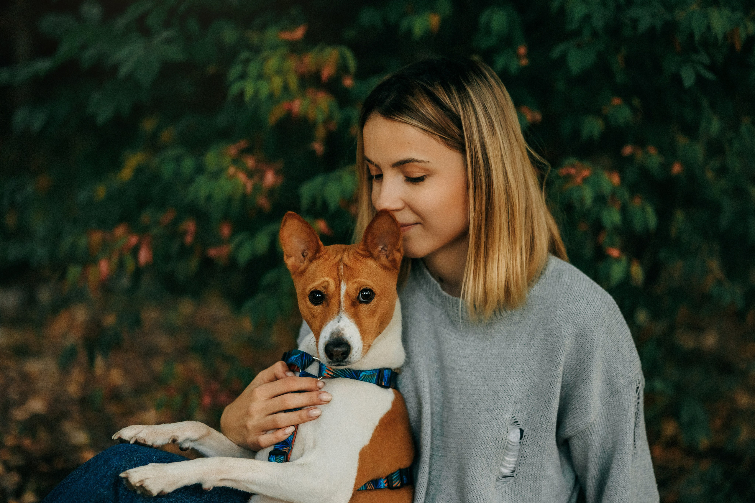 Лена и Джин. Фотограф-анималист Елена Радченко, Москва