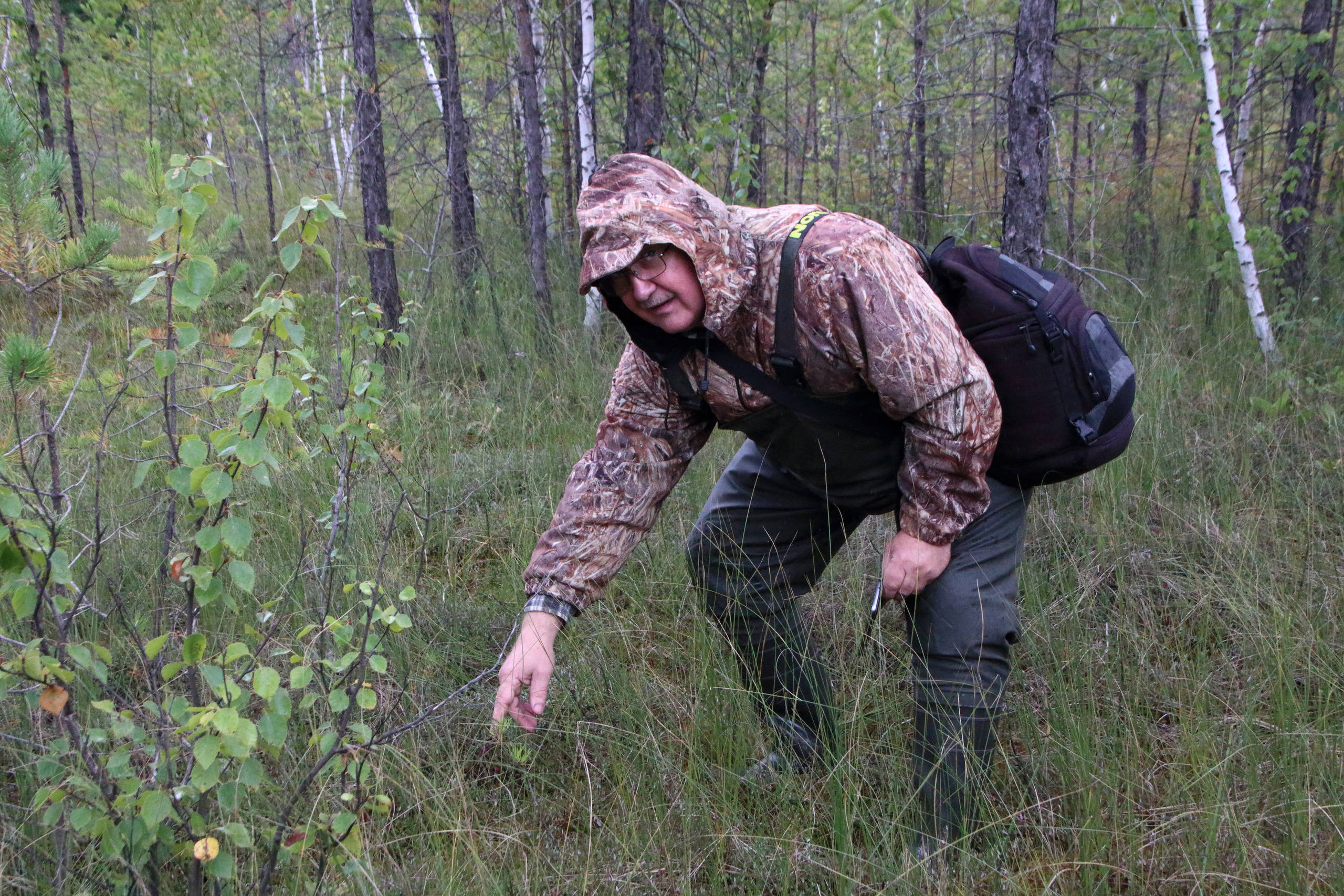 27.08.2019 Фотопленэр на болоте Самарская обл., Шигонский р-н. Фотообъединение Самарского областного отделения Союза журналистов России