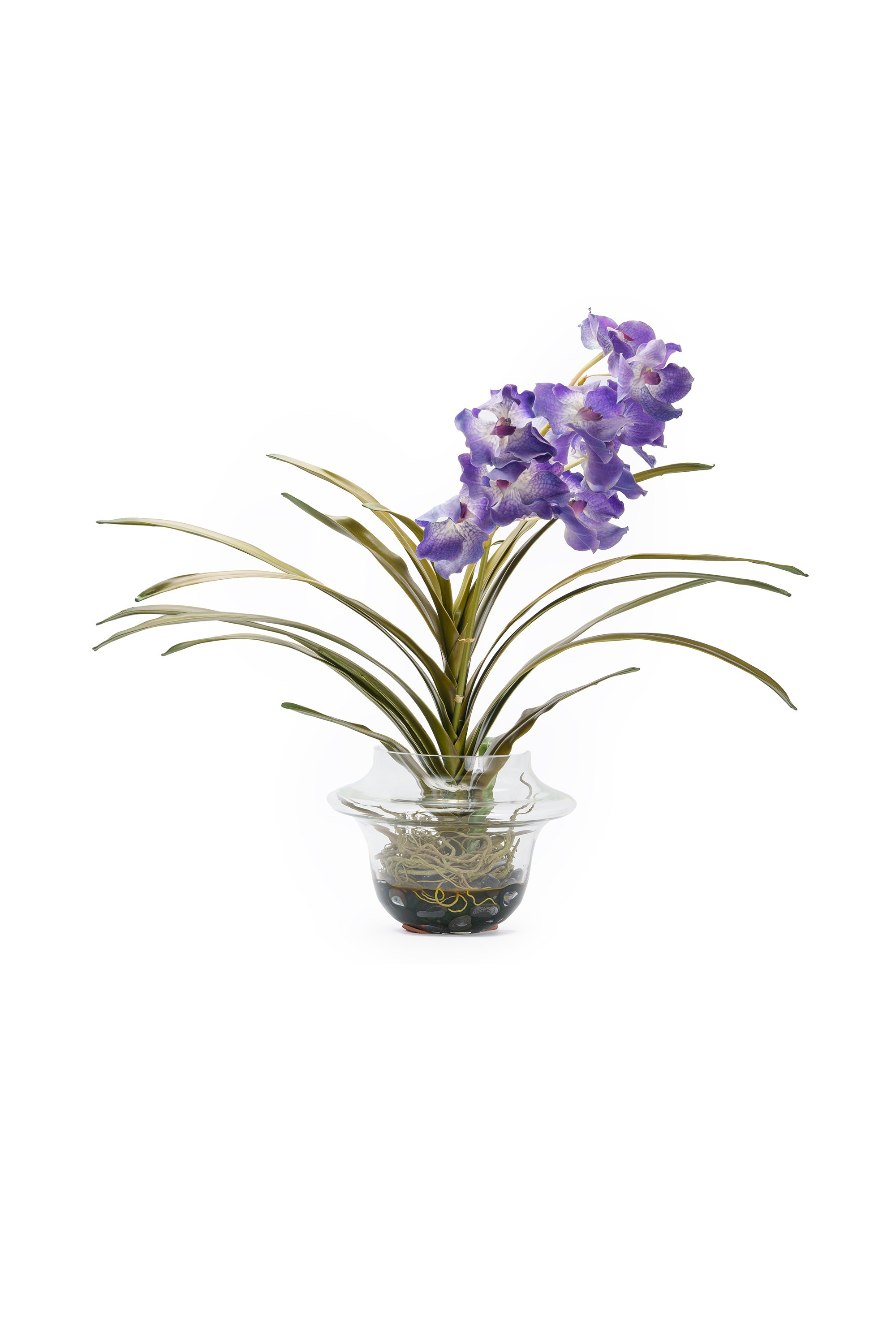 Предметка. Фотограф. Москва