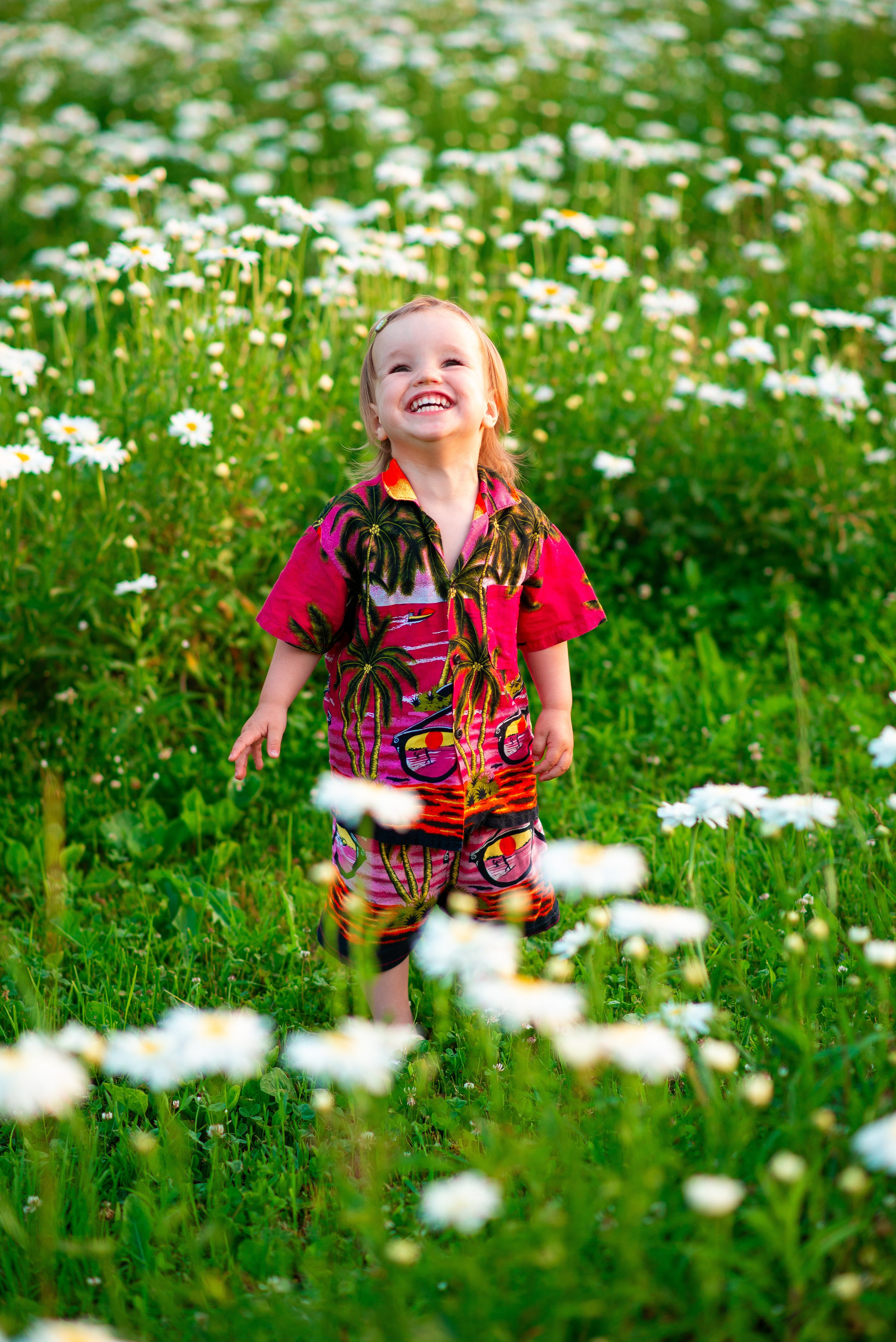Вероника с семьей в ромашках. Семейный фотограф на выписку из роддома и крещение Минск Настя Гришук