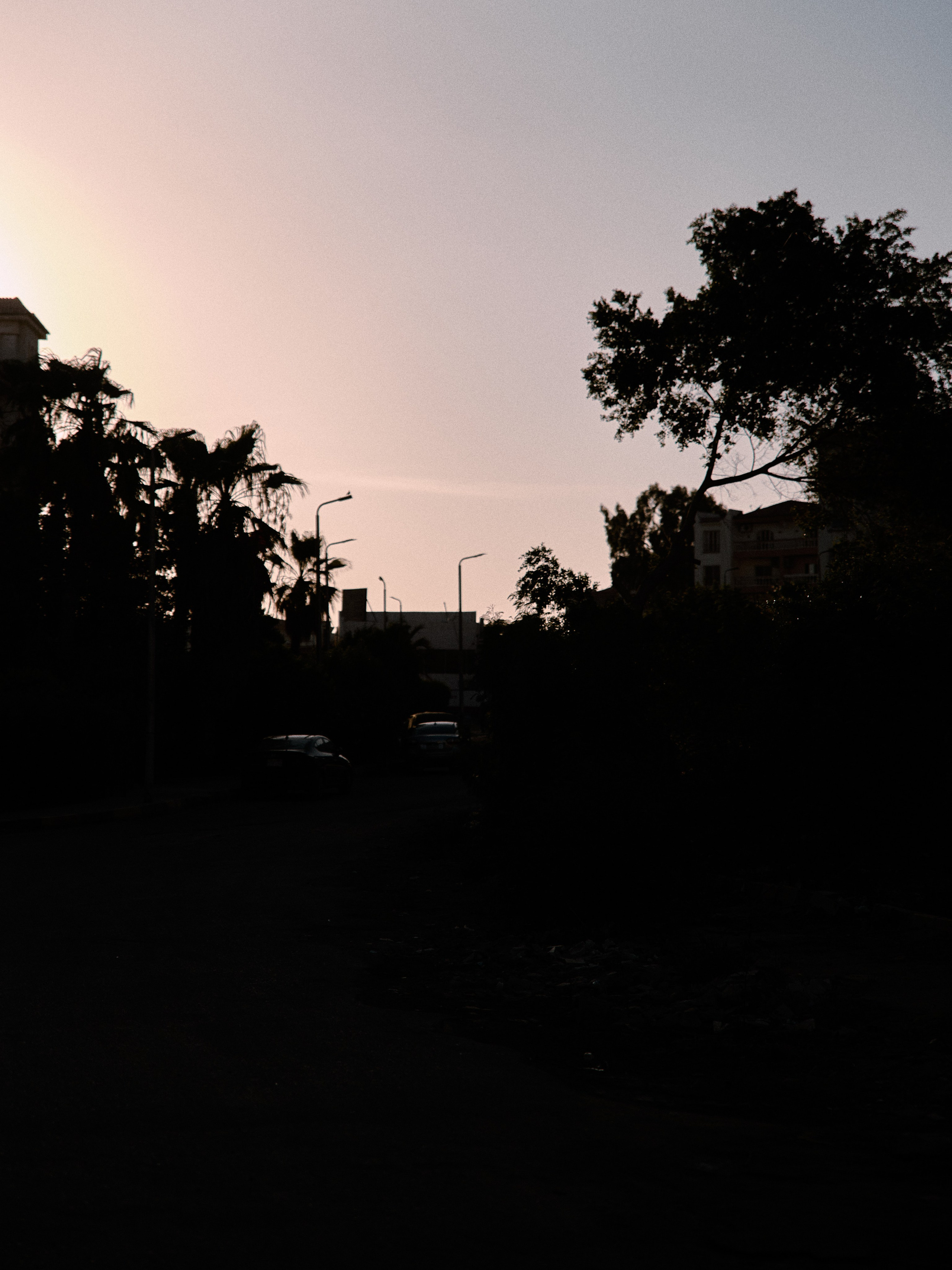 Другое 2. Jorgis Talè — photographer, kind person, teacher of arts and other mag