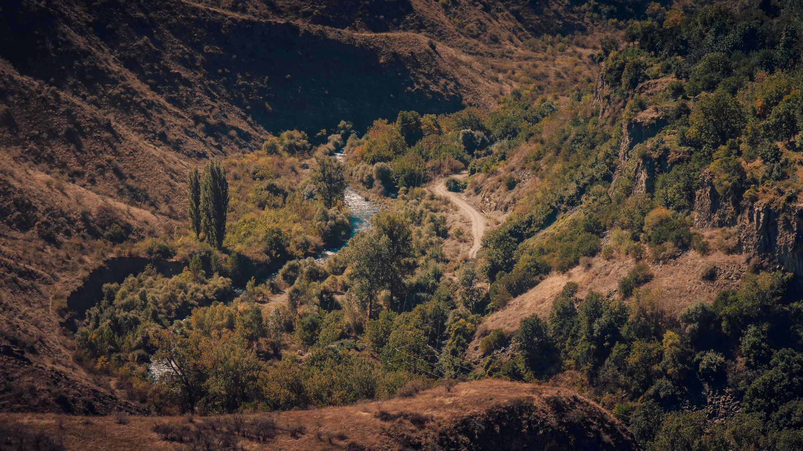 Ереван. Фотошкола ArtFotoLife для начинающих и продвинутых фотографов