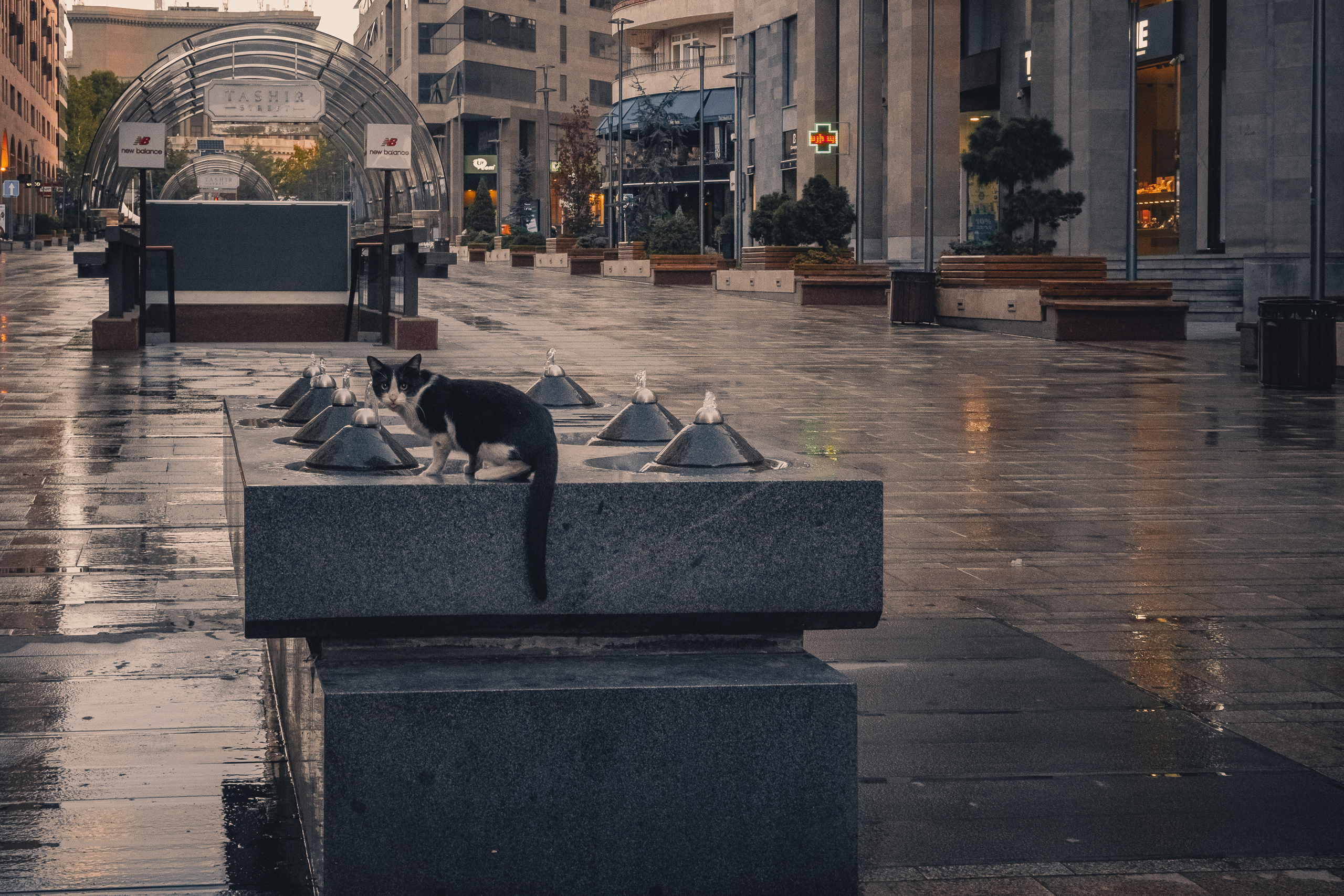 Ереван. Фотошкола ArtFotoLife для начинающих и продвинутых фотографов