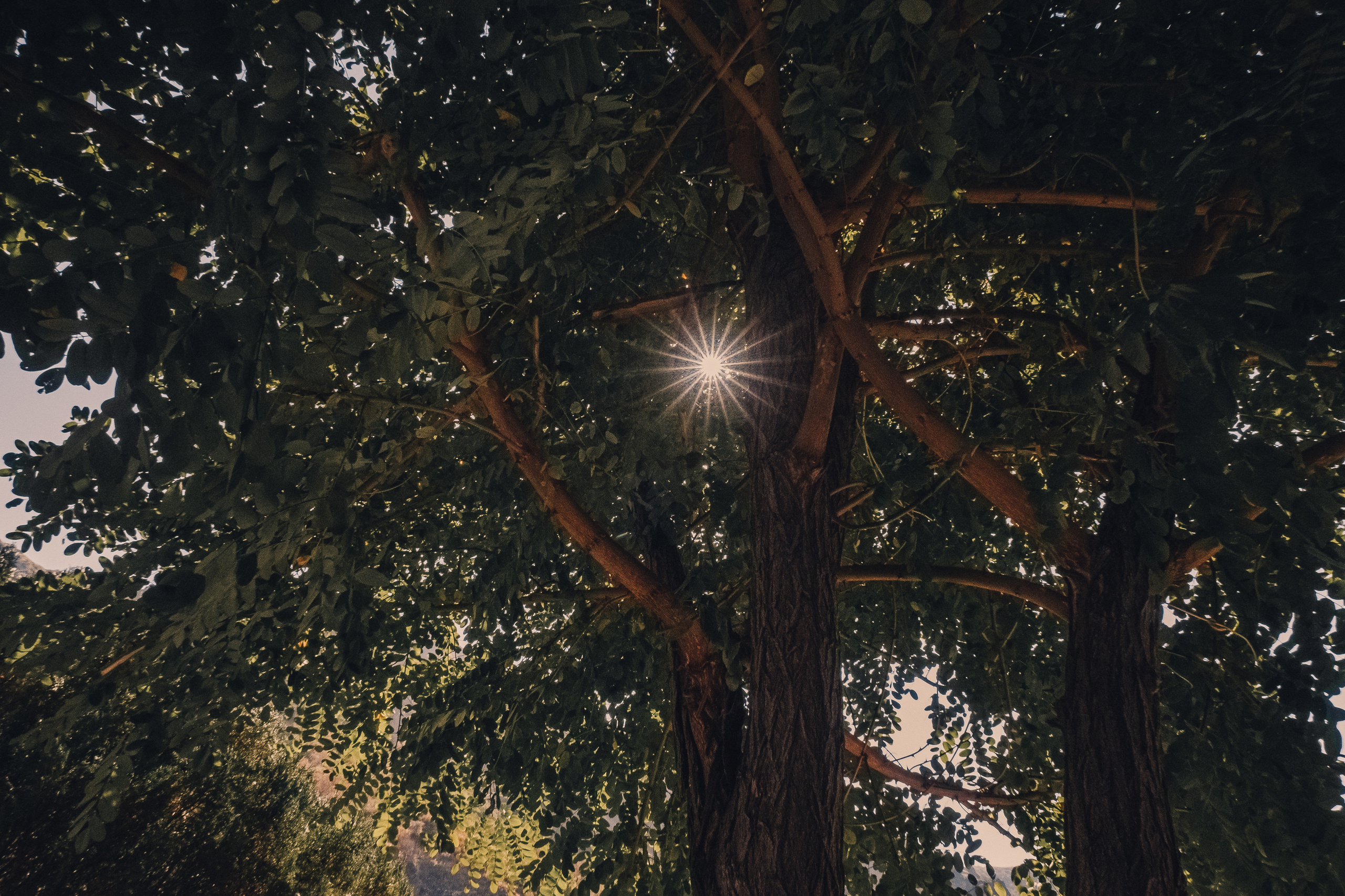 Ереван. Фотошкола ArtFotoLife для начинающих и продвинутых фотографов