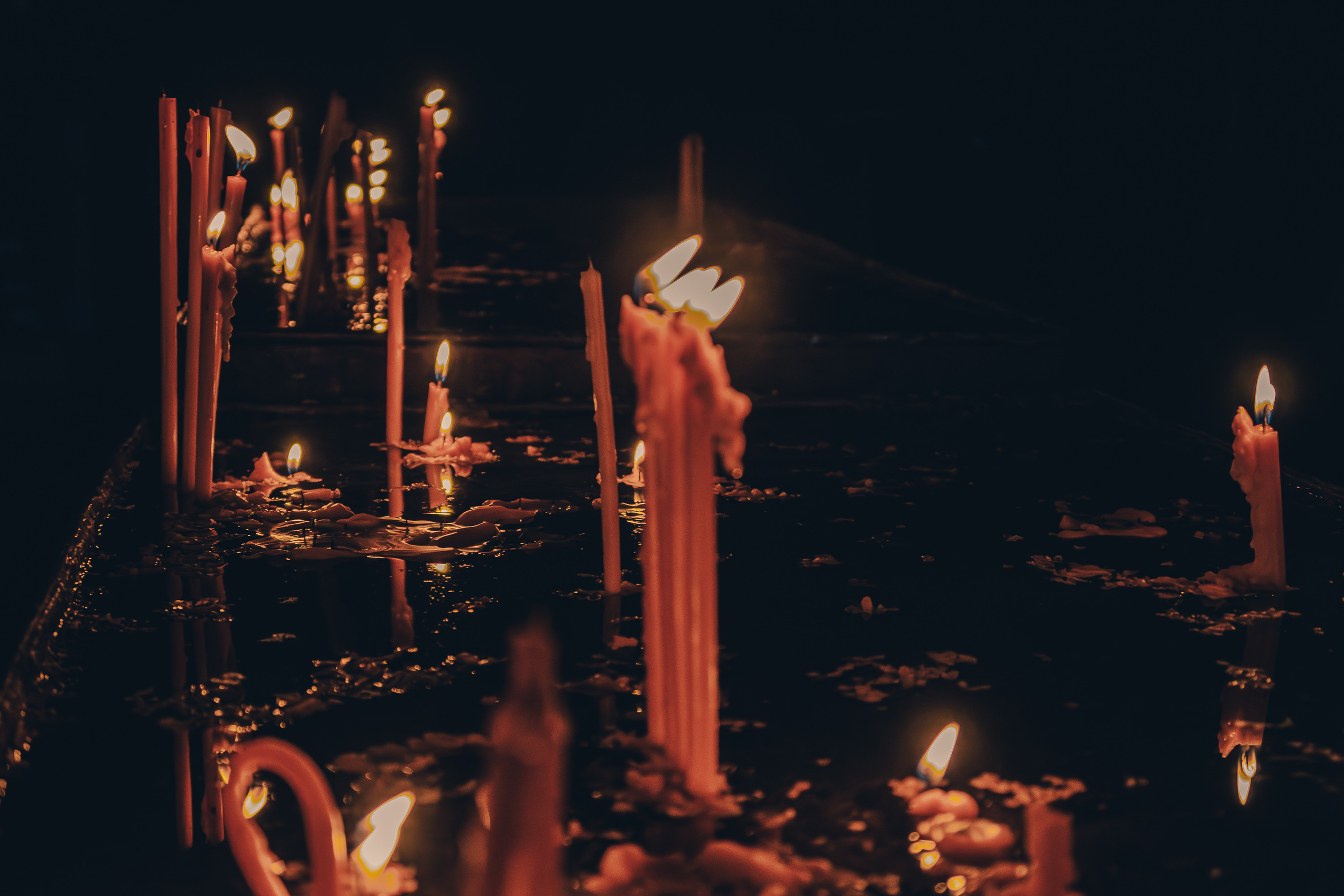 Ереван. Фотошкола ArtFotoLife для начинающих и продвинутых фотографов