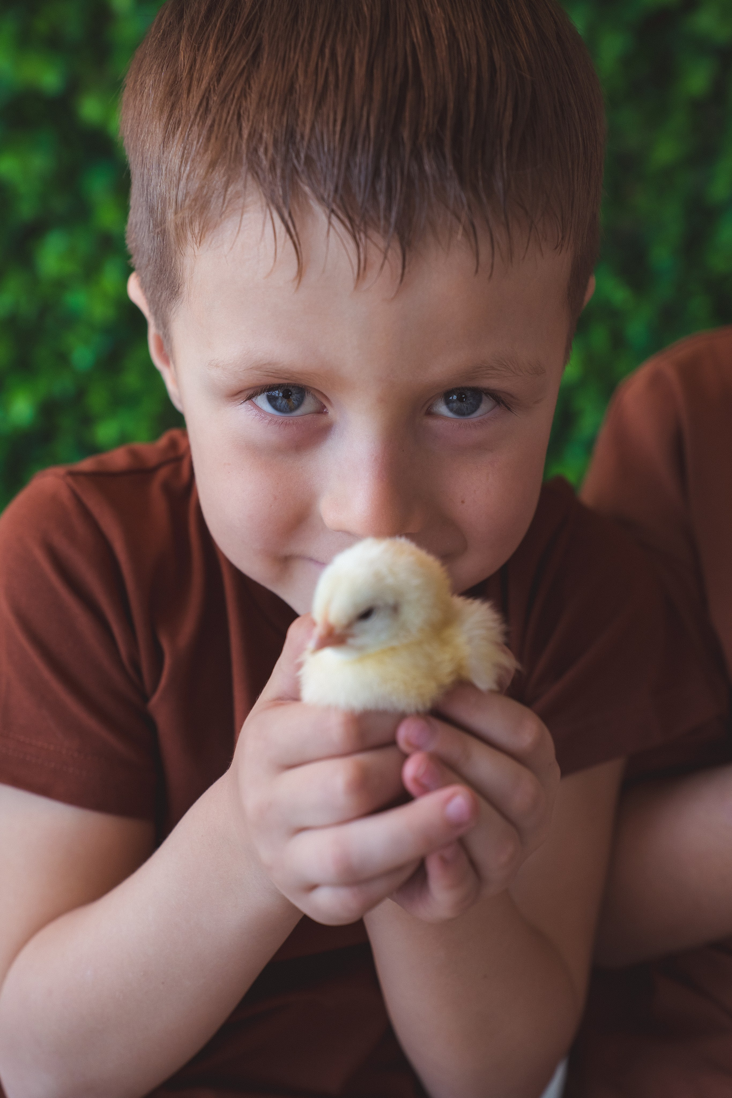 Пасхальный фотодень с цыплятами и кроликами. Фотограф Маргарита Слободянина в Хабаровске