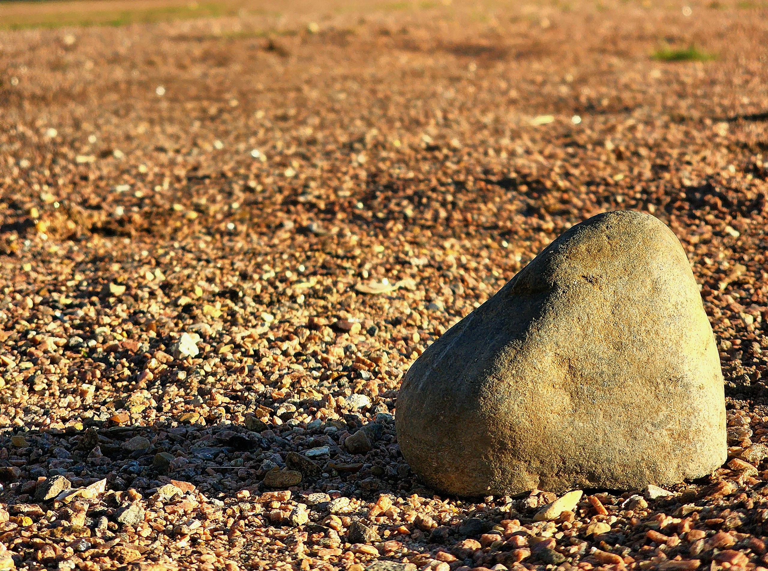 Отзывы клиентов. Репортажный фотограф Константинов Сергей