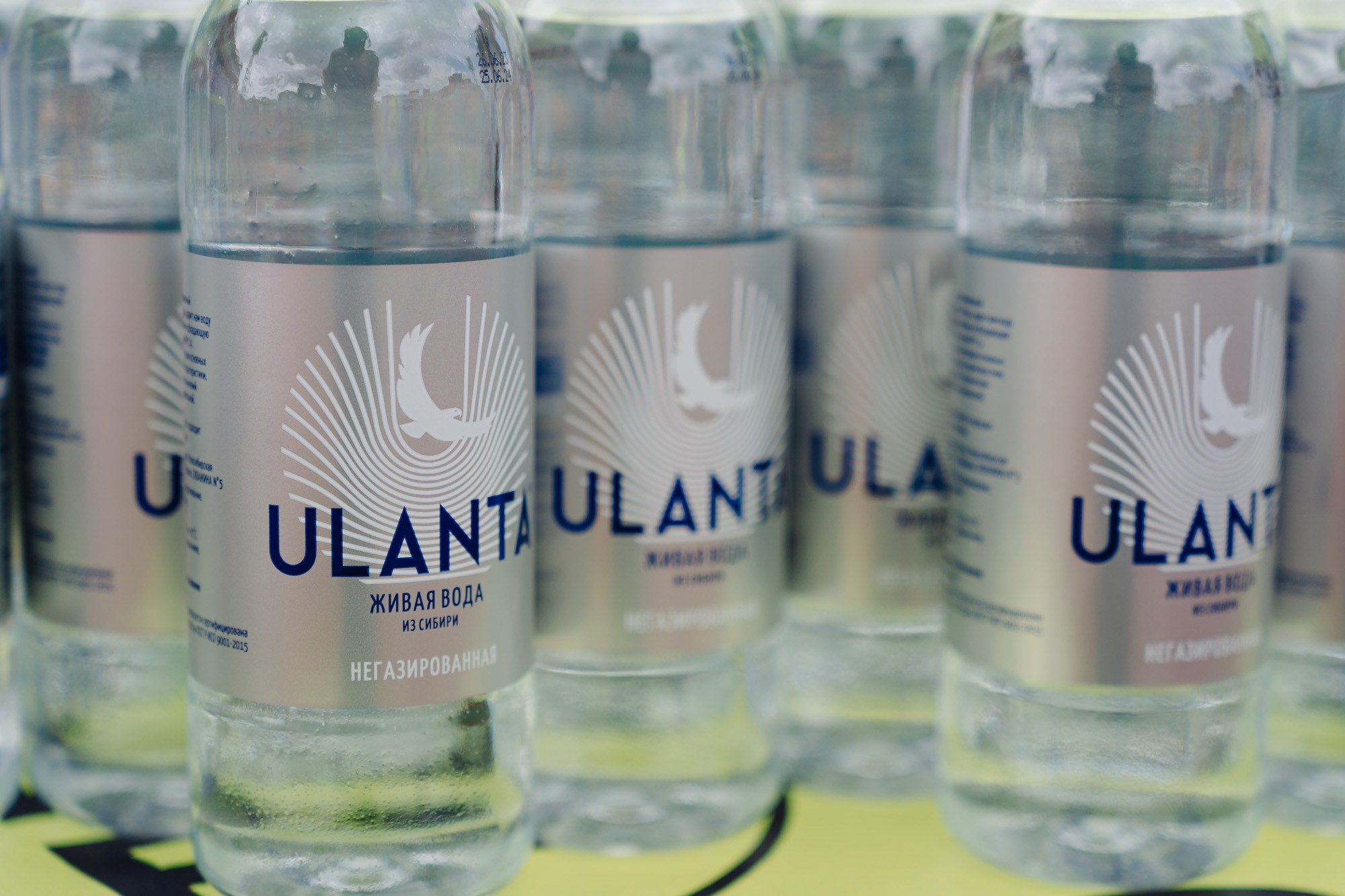 ФК СИБИРЬ. Фотограф Новосибирск I Дамдинов Бато