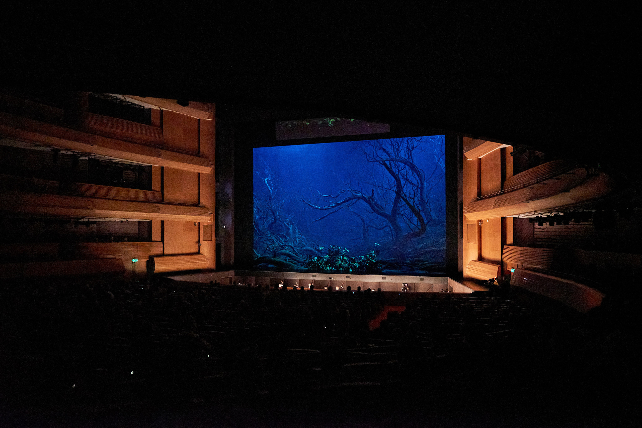 Как зазвучала «Мандрагора»: Чайковский, Дранга и нейросети на сцене Мариинки. Иван Ступа, репортажный фотограф в Санкт-Петербурге и Ленинградской области