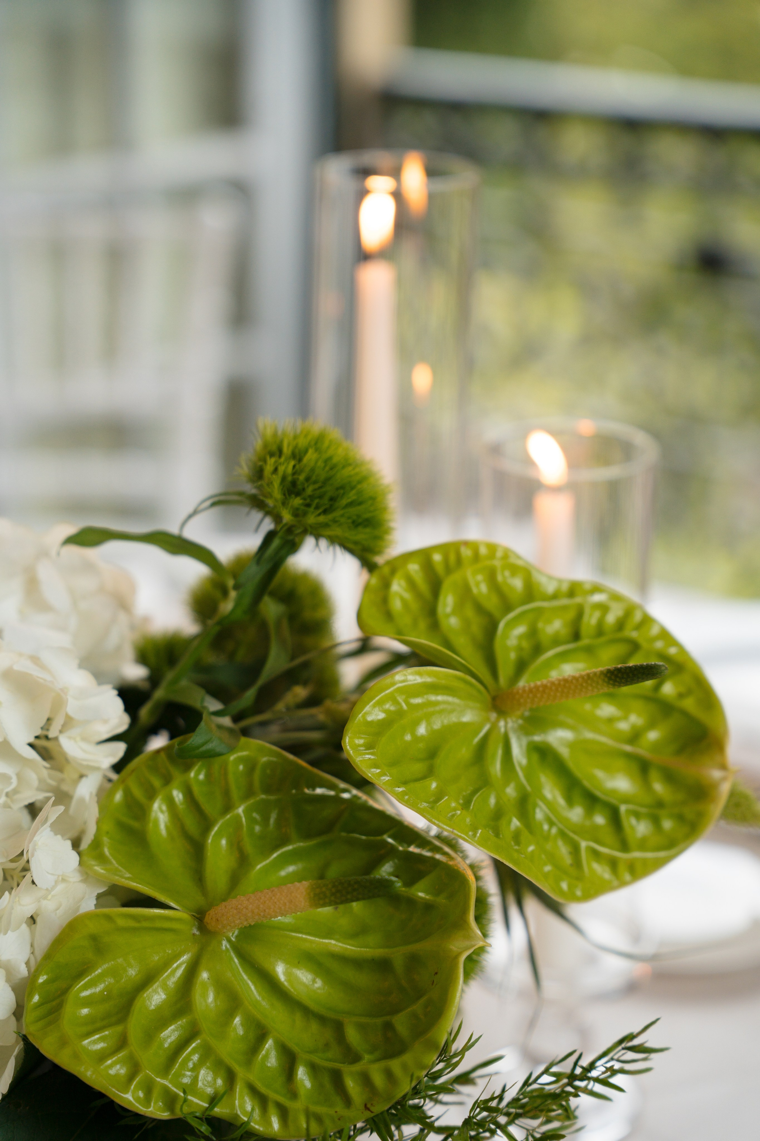 Valeria Coconova Photographer Italy Como Milan