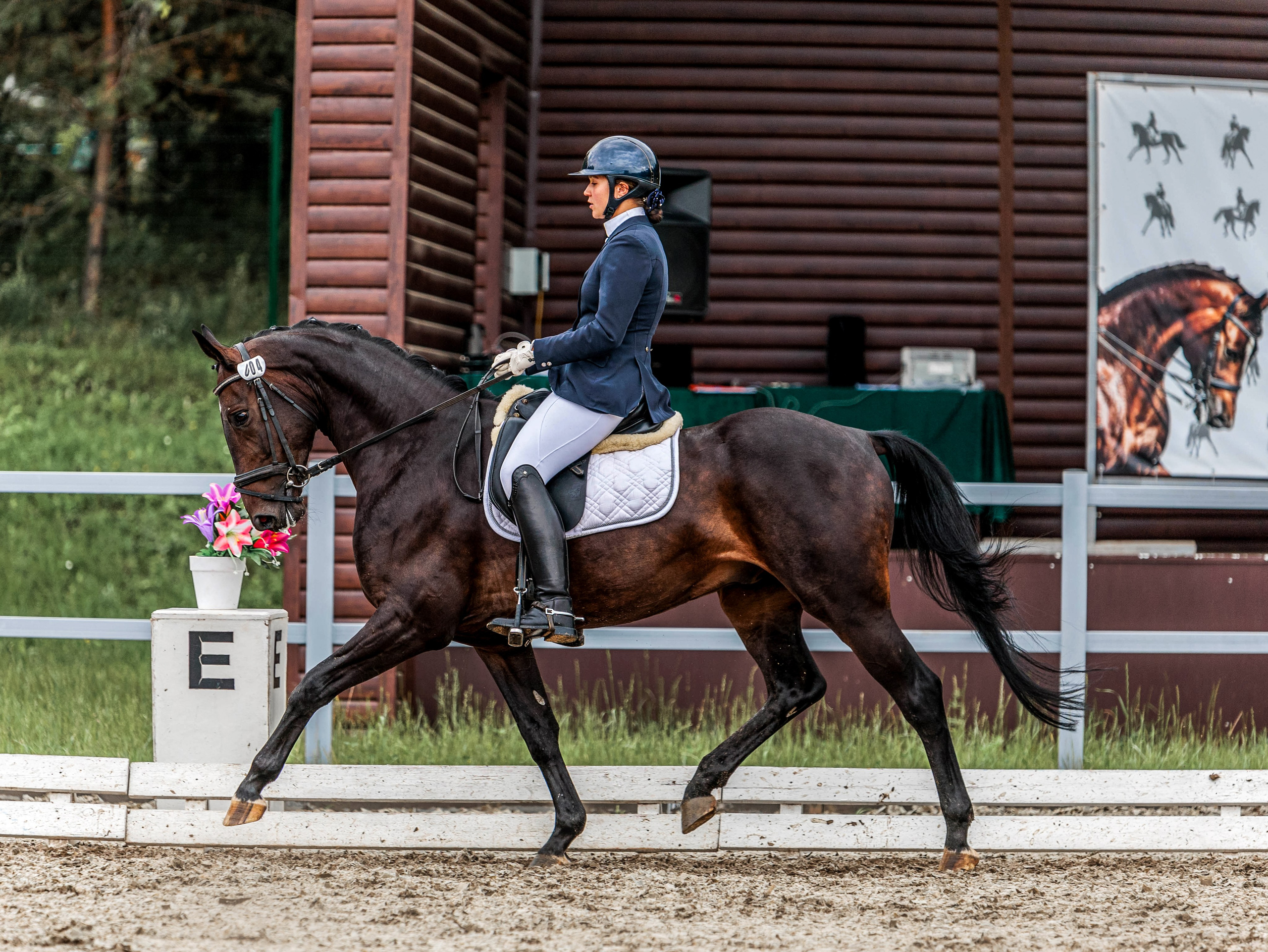 2025. Конный фотограф в Красноярске — Любовь Похабова