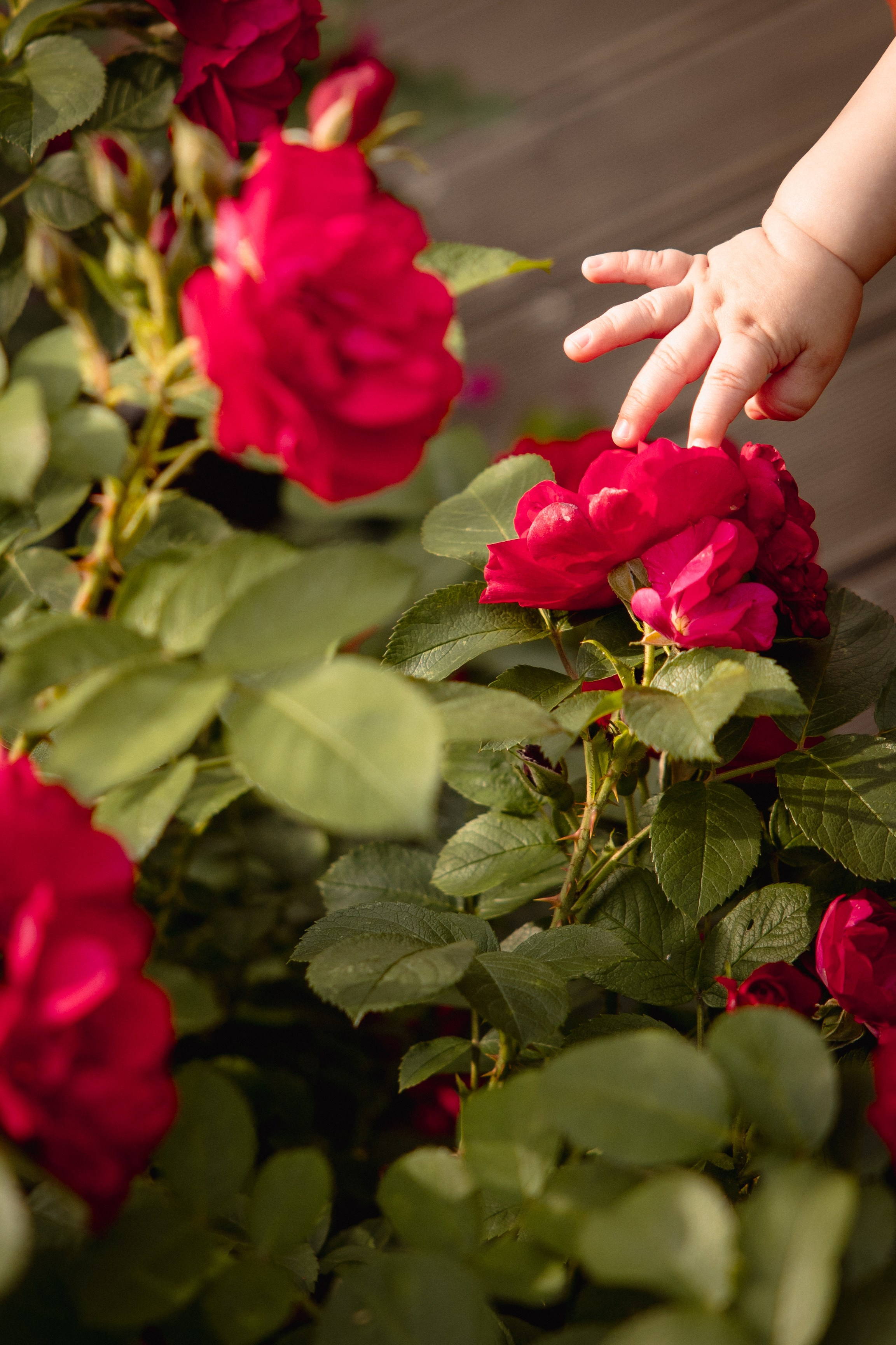 Настя с сыном у Alma-Mater. Ваш семейный newborn и lifestyle фотограф в СПБ Наталья Журавлева