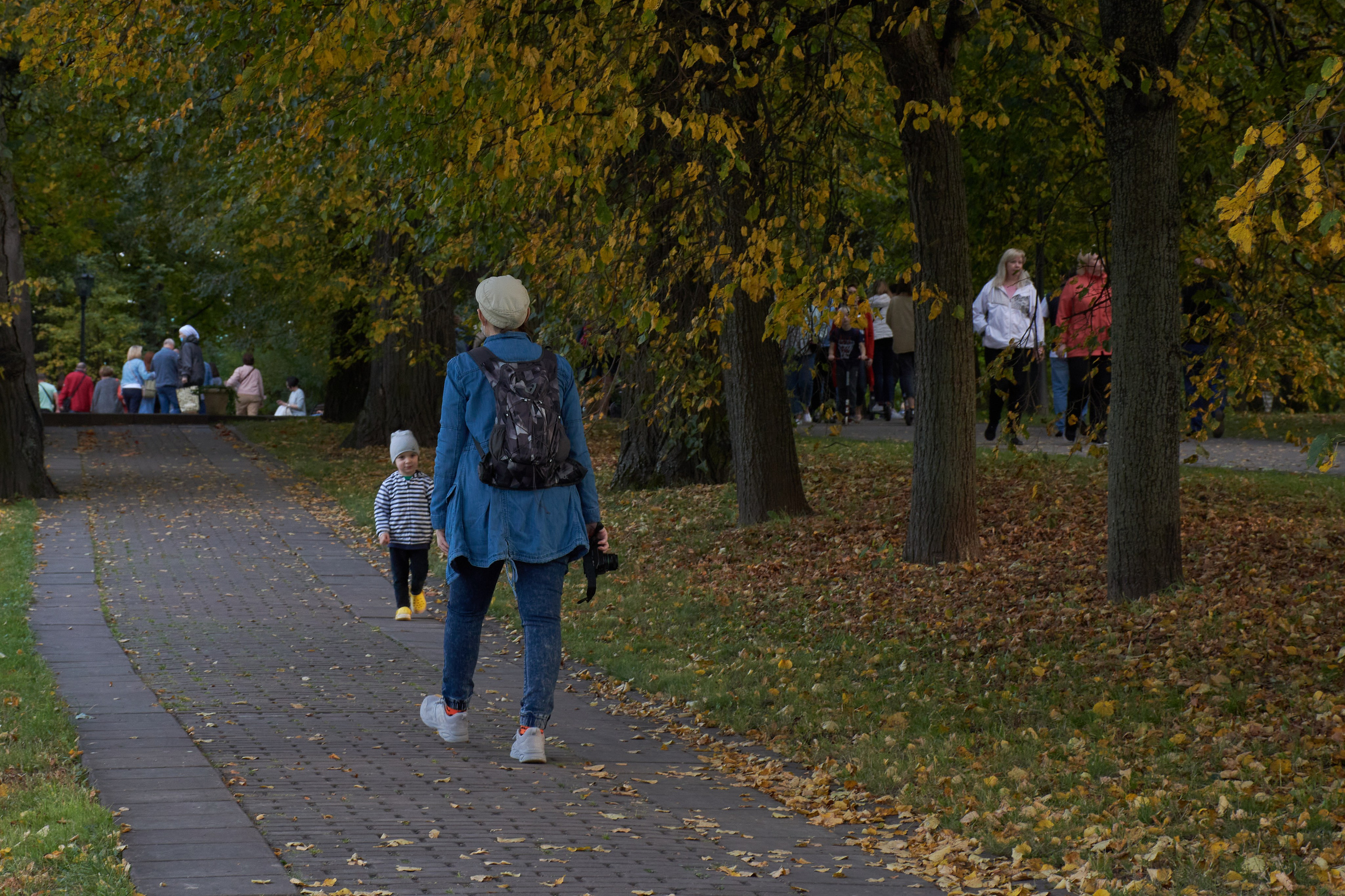 20200927 Коломенское. Дмитрий Ремизов. Фотография, как хобби