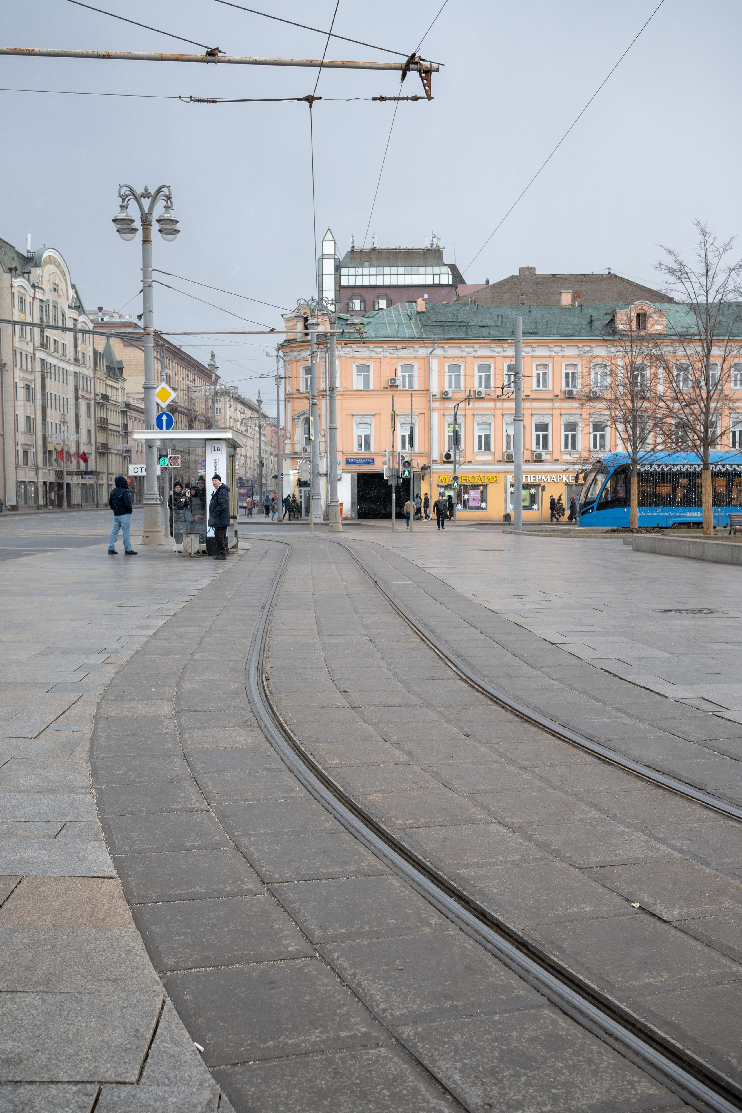 20250202 Белорусская-Охотный ряд. Дмитрий Ремизов. Фотография, как хобби