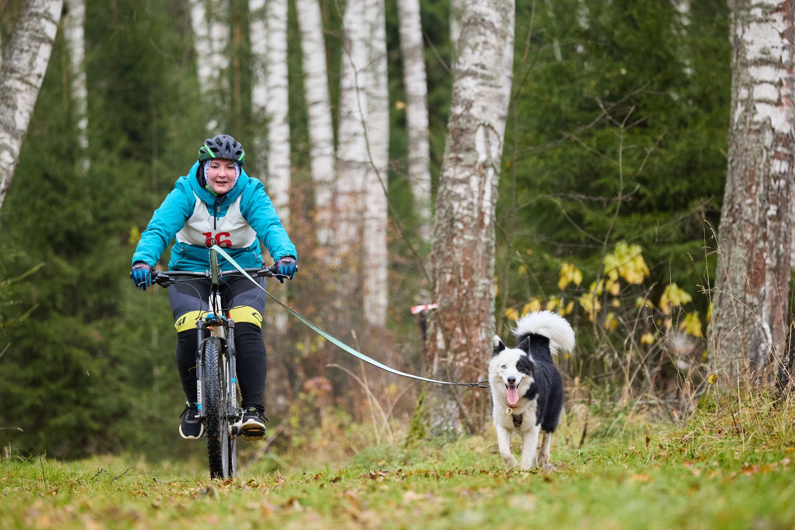 Чемпионат по ЕС Ярославской области. Фотограф Ирина Астор