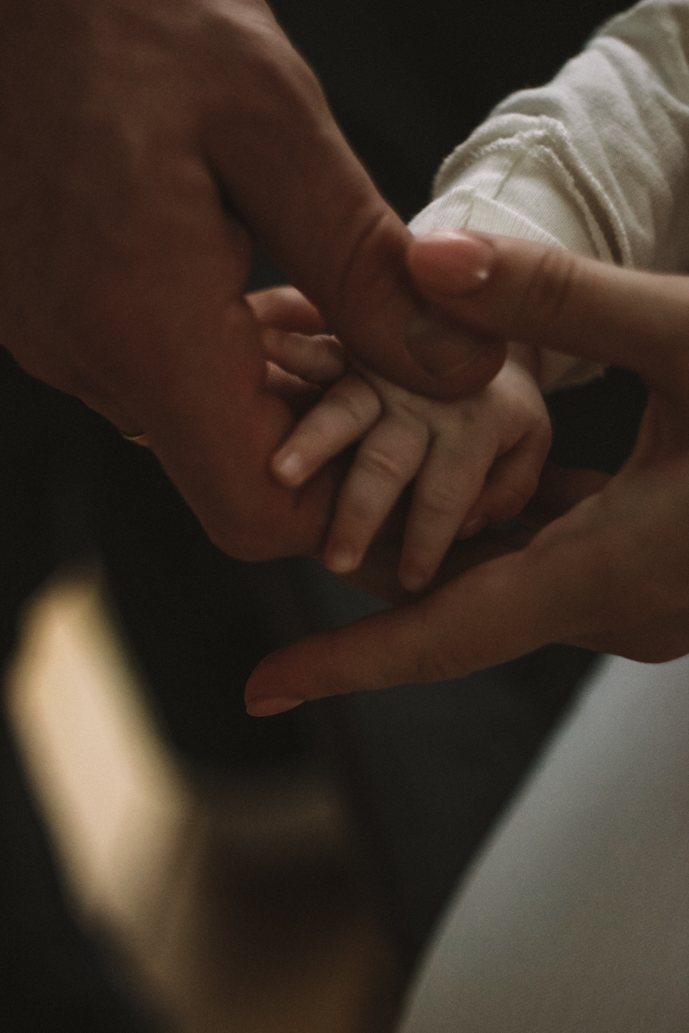 Семейная фотосессия с ребенком в поле Новосибирской области. Семейный фотодуэт Ирина и Николай Власьевы. Фотосессии в Новосибирске