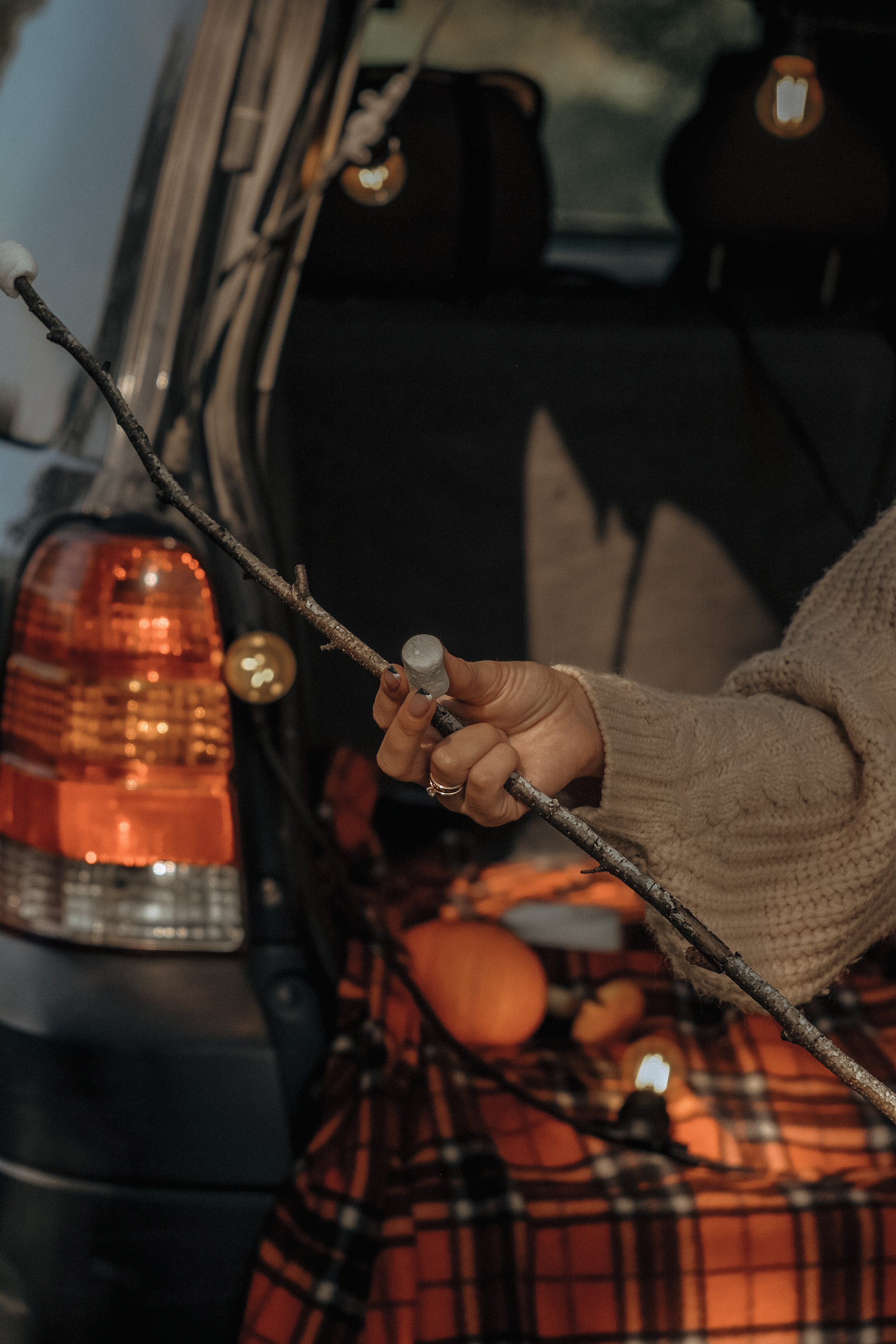 Фотосессия love story в лесу Новосибирска. Семейный фотодуэт Ирина и Николай Власьевы. Фотосессии в Новосибирске