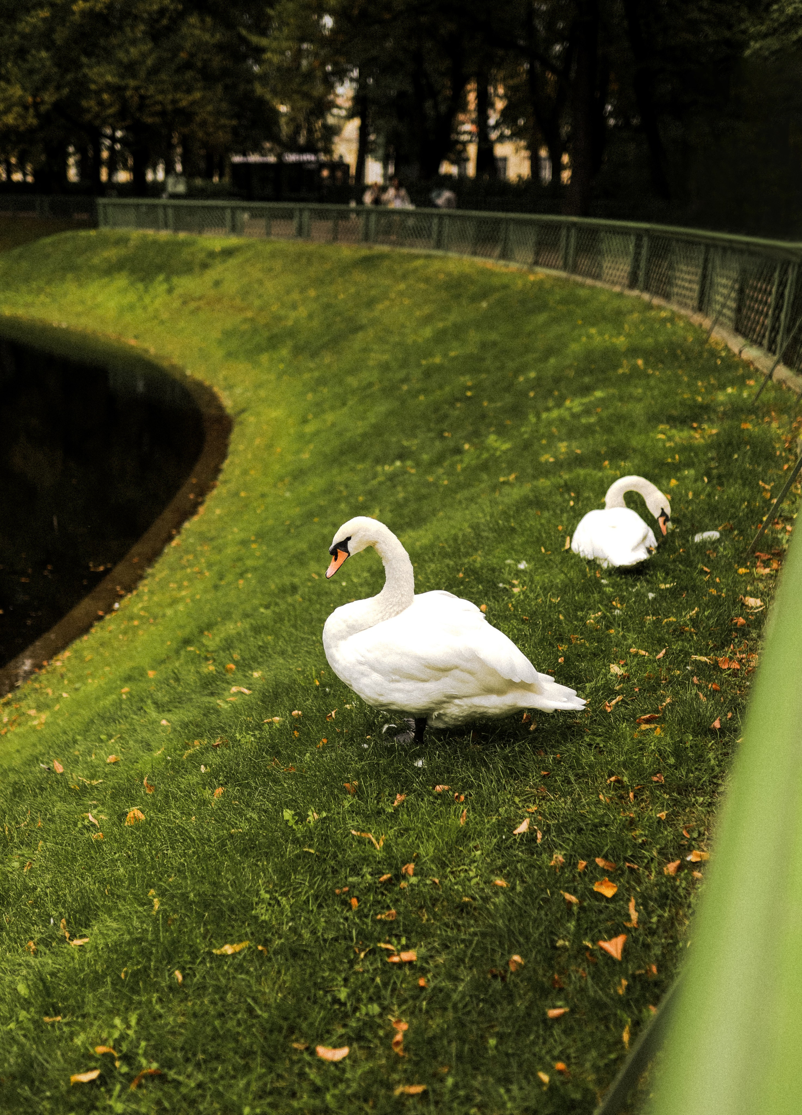 Сердце Петербурга