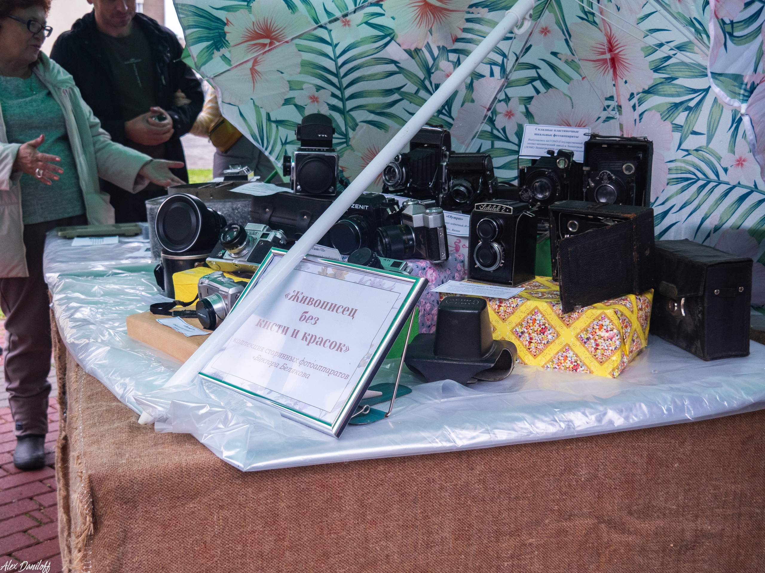 День города Муром 2025. Муром-Инфо. Новости культуры, образования, спорта в городе Муром