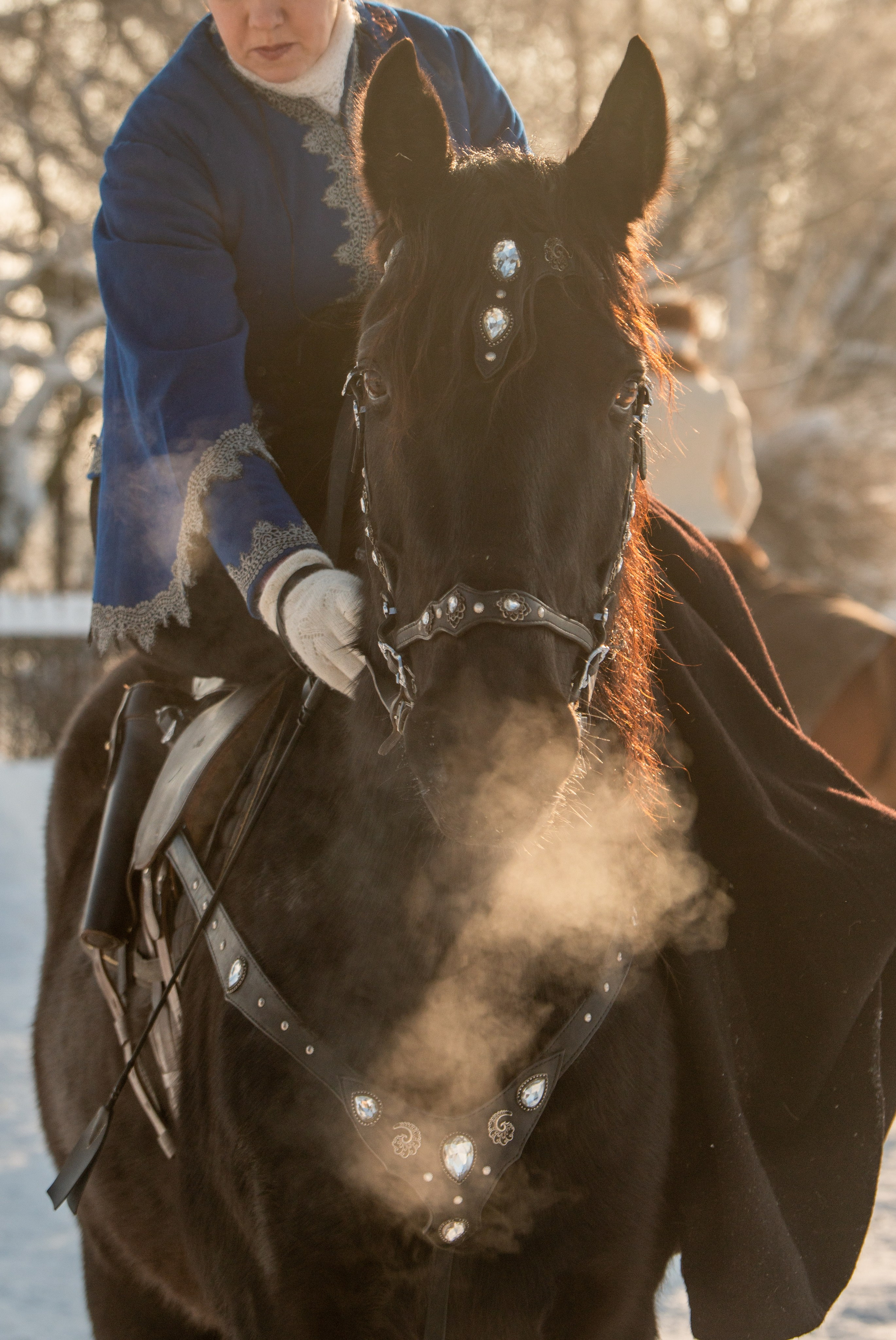 Псовая охота Аванпост. Конный фотограф в Саратове Юлия Иванова