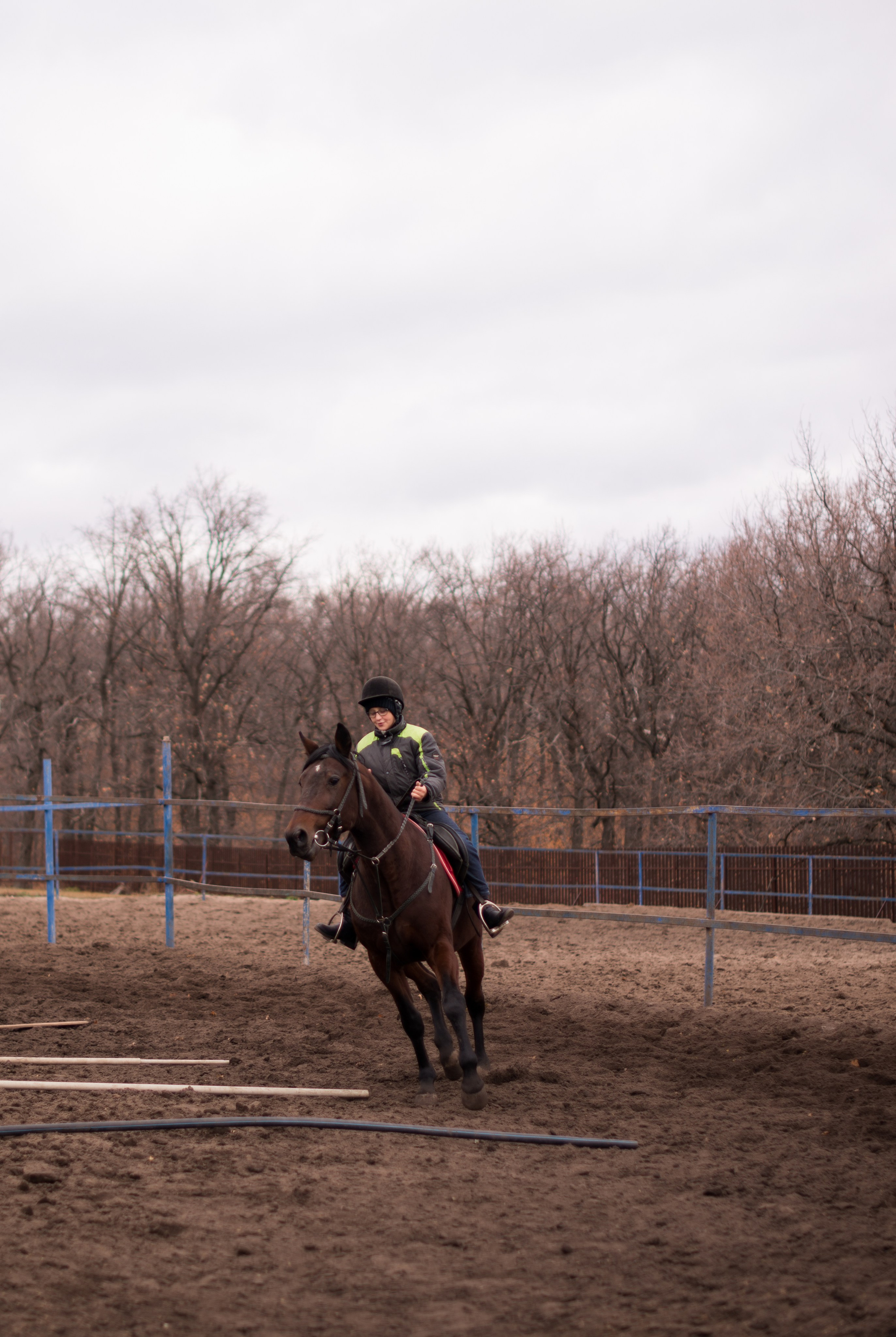 Тренировка с Гайдуком. Конный фотограф в Саратове Юлия Иванова