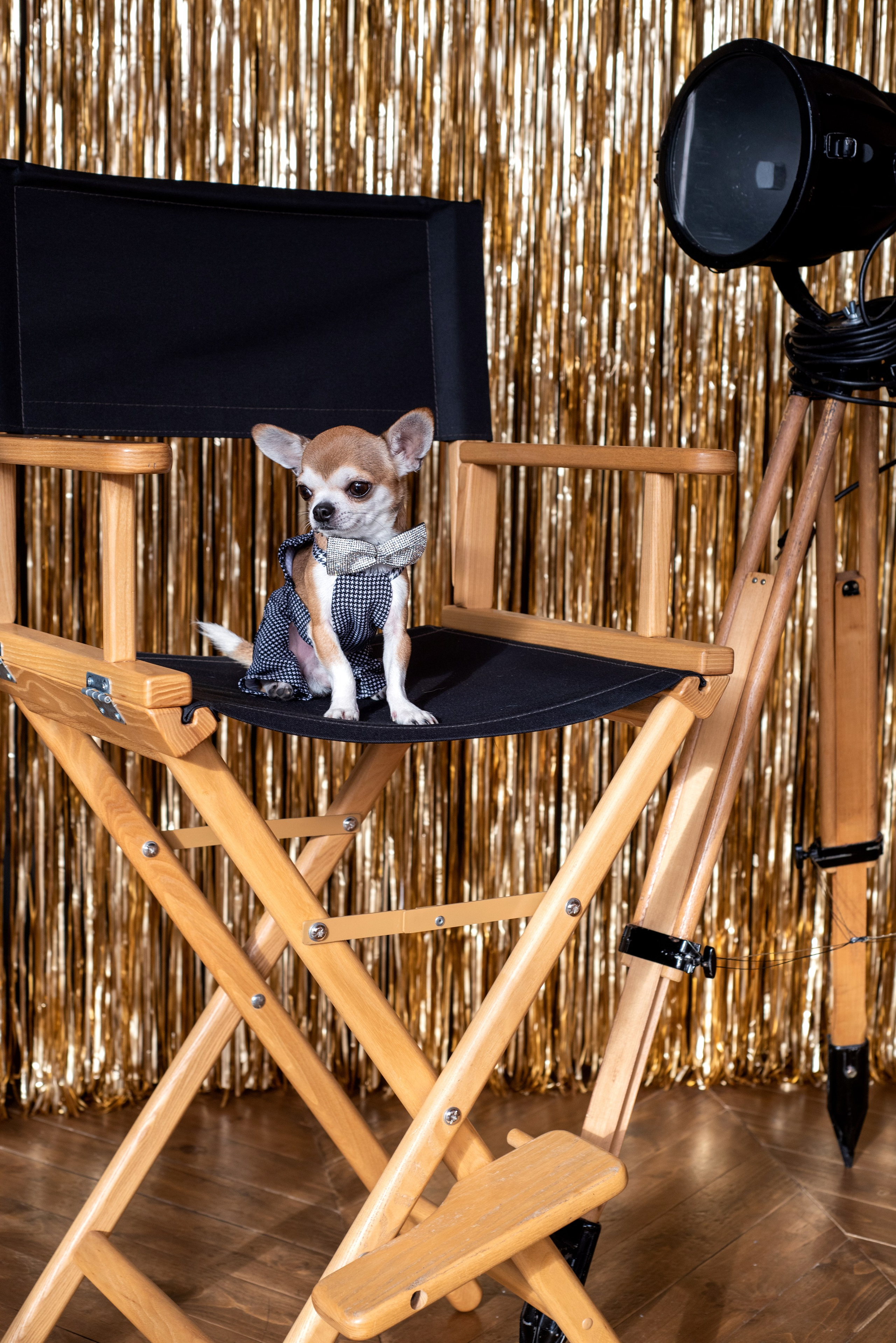 ЕЛЕНА+БРУНО. Ольга Козлова фотограф Волгоград olkiny-fotki.ru