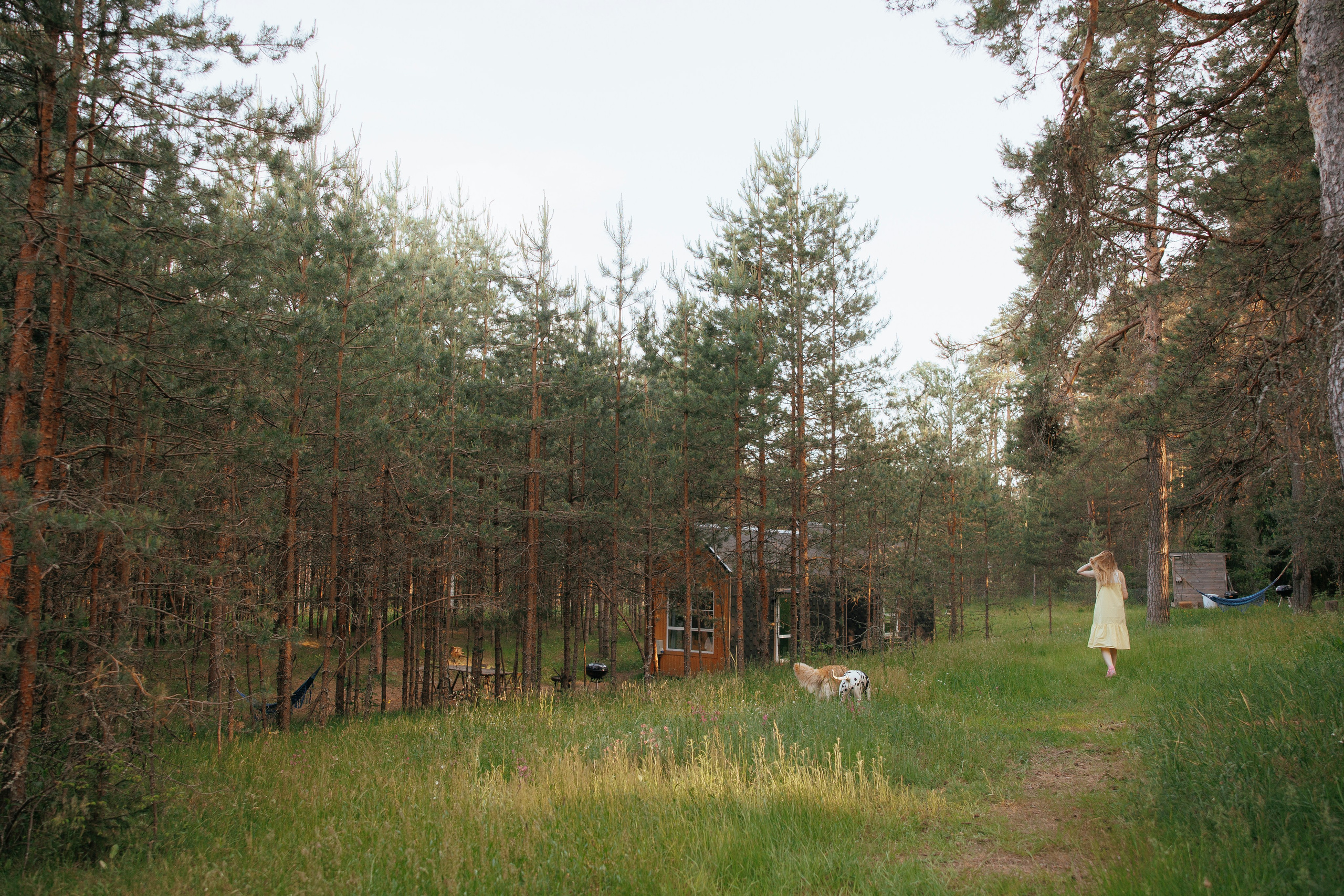 Съемка с собакой. Анастасия Белаш