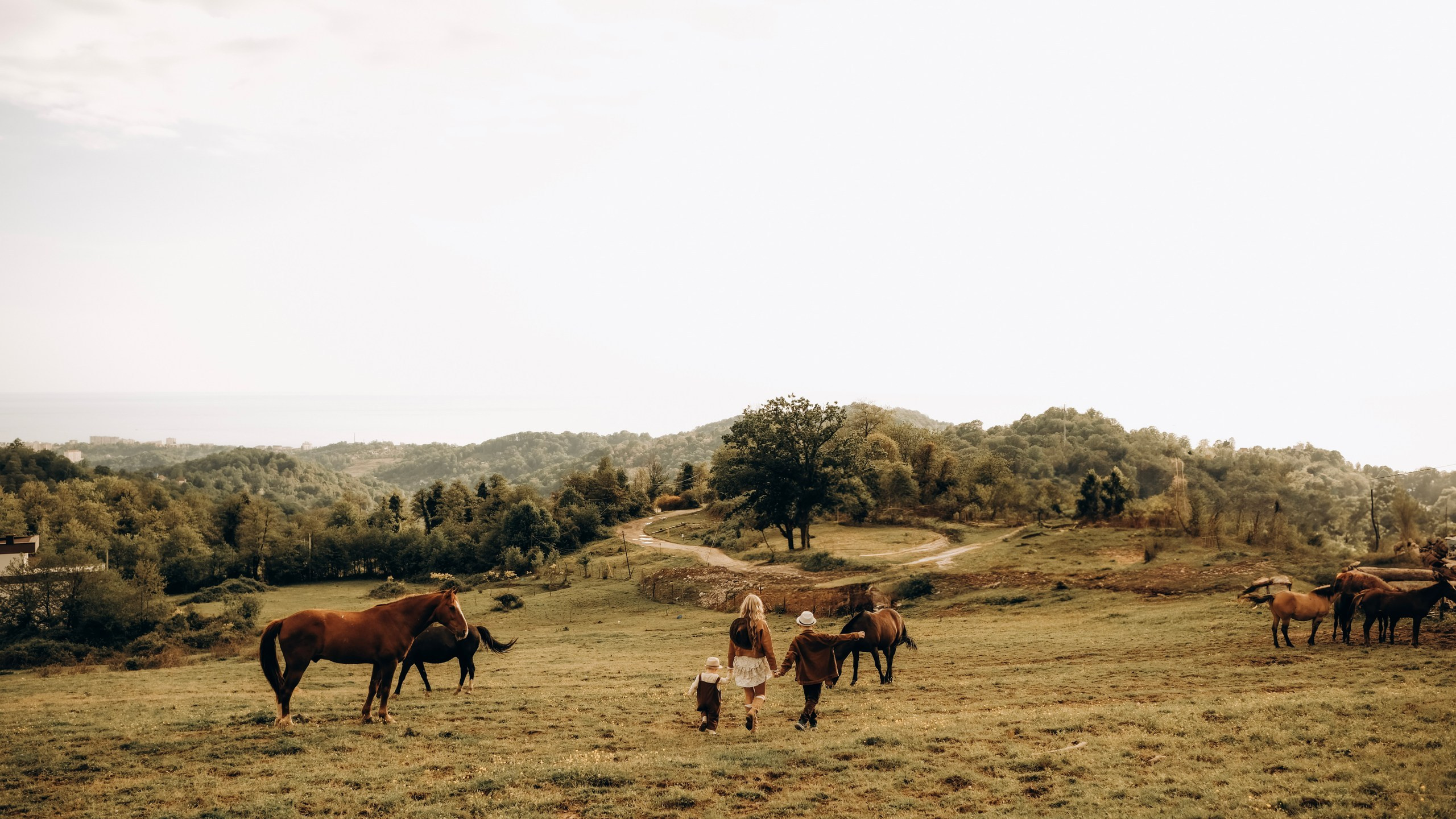 Конюшня. Главная