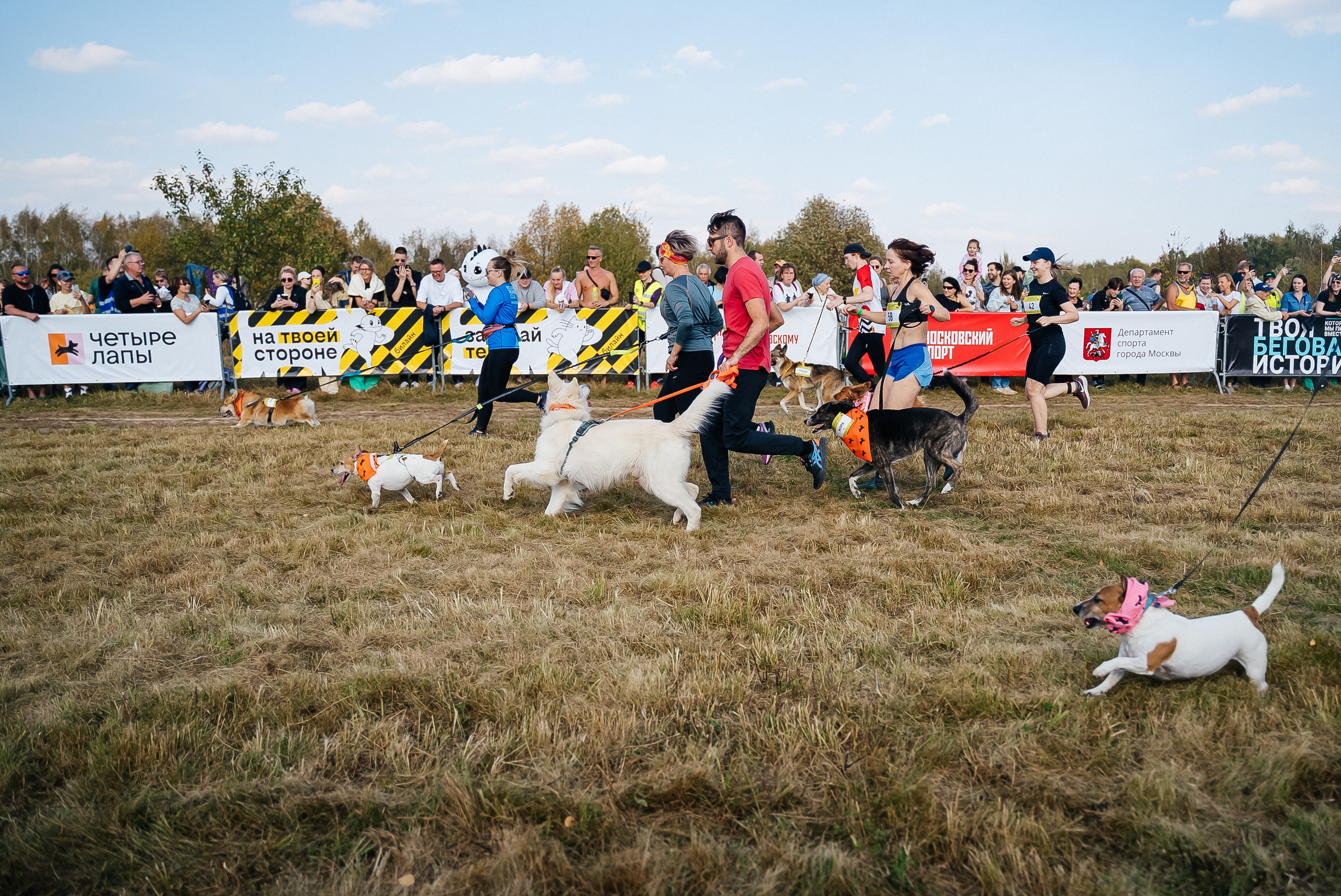 Билайн. Павел Краснов — Свадебный и репортажный фотограф в Москве