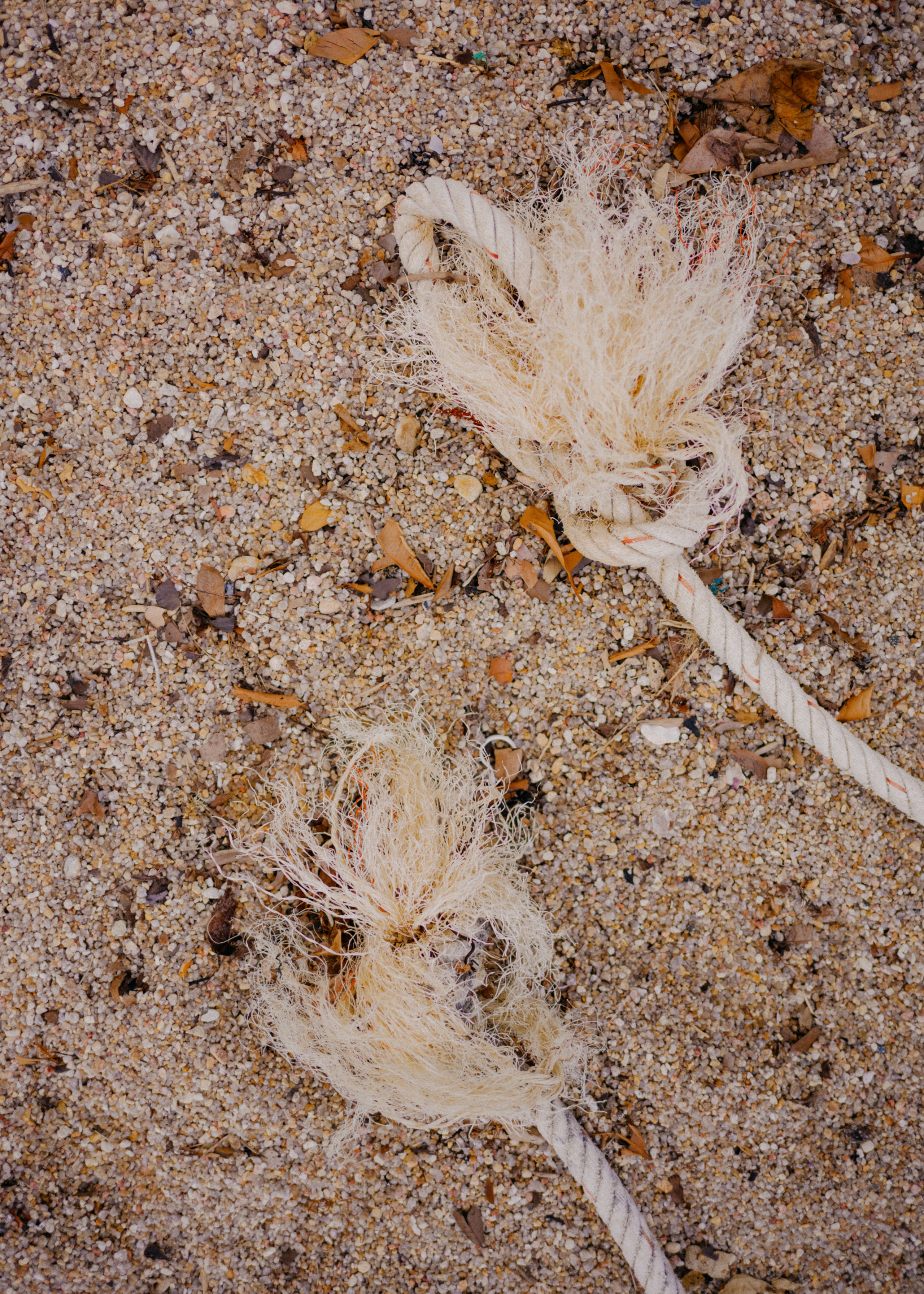 PHANGAN. Свадебный и семейный фотограф Никита Корохов