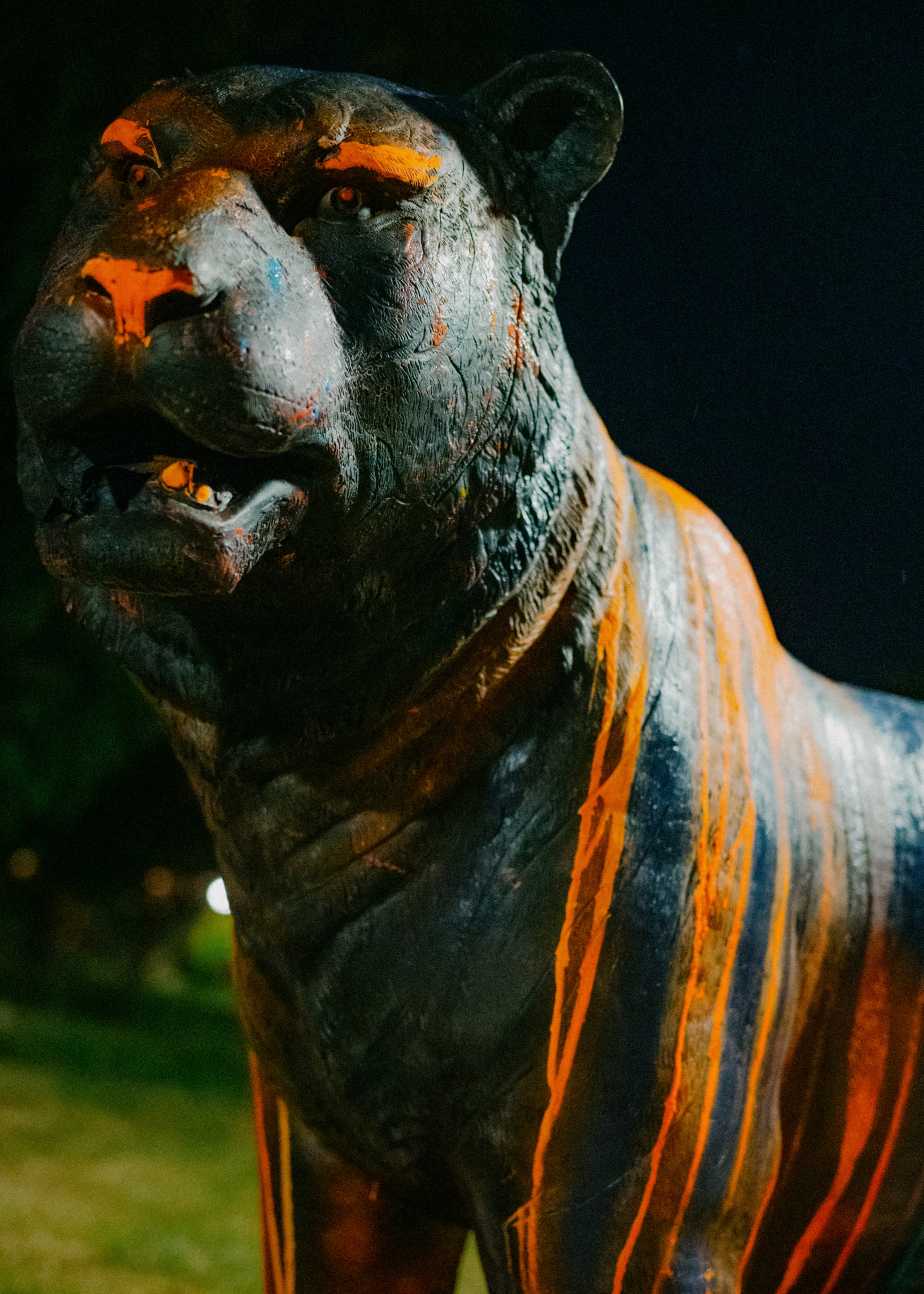 PHANGAN. Свадебный и семейный фотограф Никита Корохов