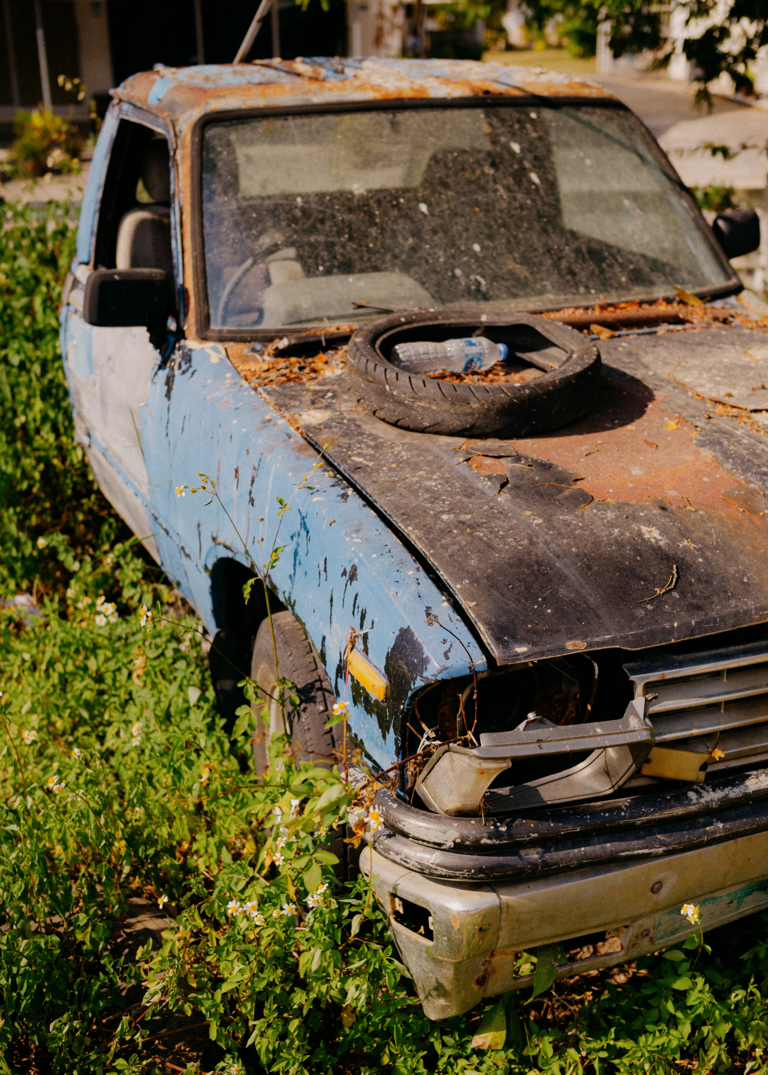 PHANGAN. Свадебный и семейный фотограф Никита Корохов