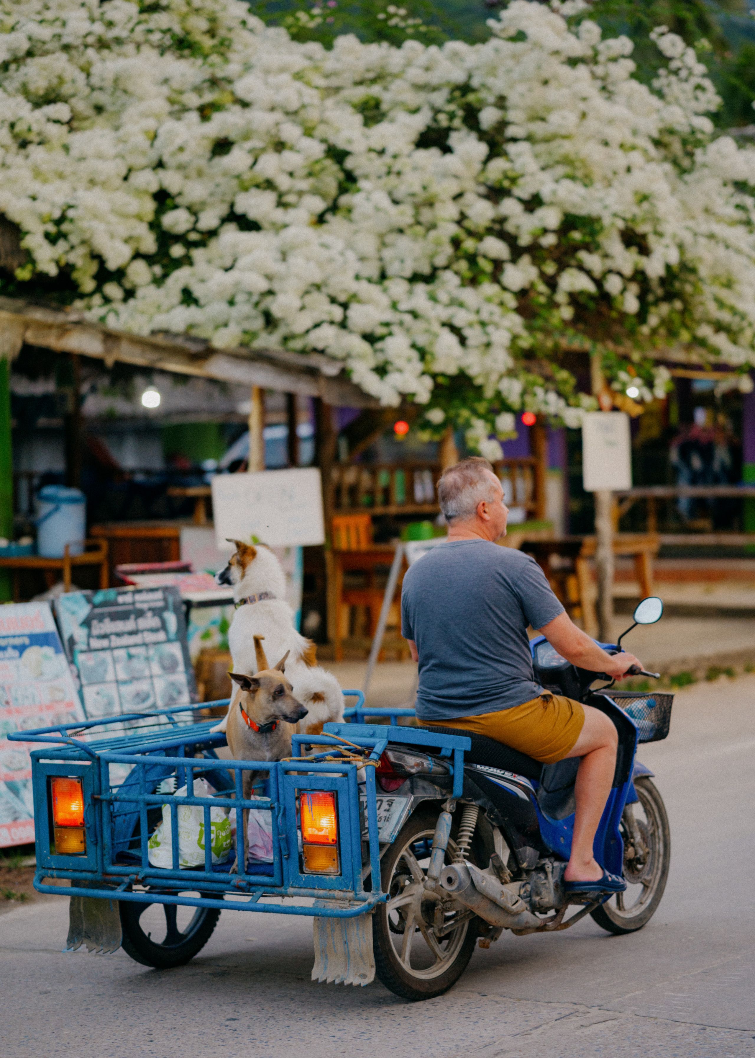 PHANGAN. Свадебный и семейный фотограф Никита Корохов