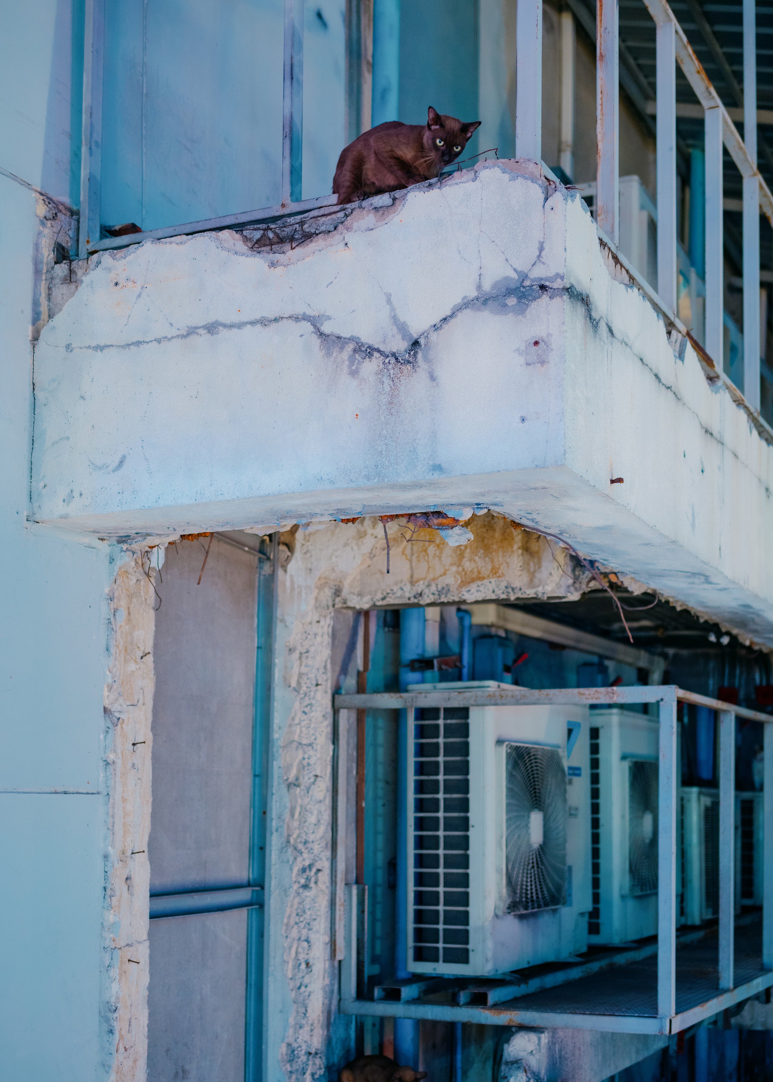 BANGKOK. Свадебный и семейный фотограф Никита Корохов