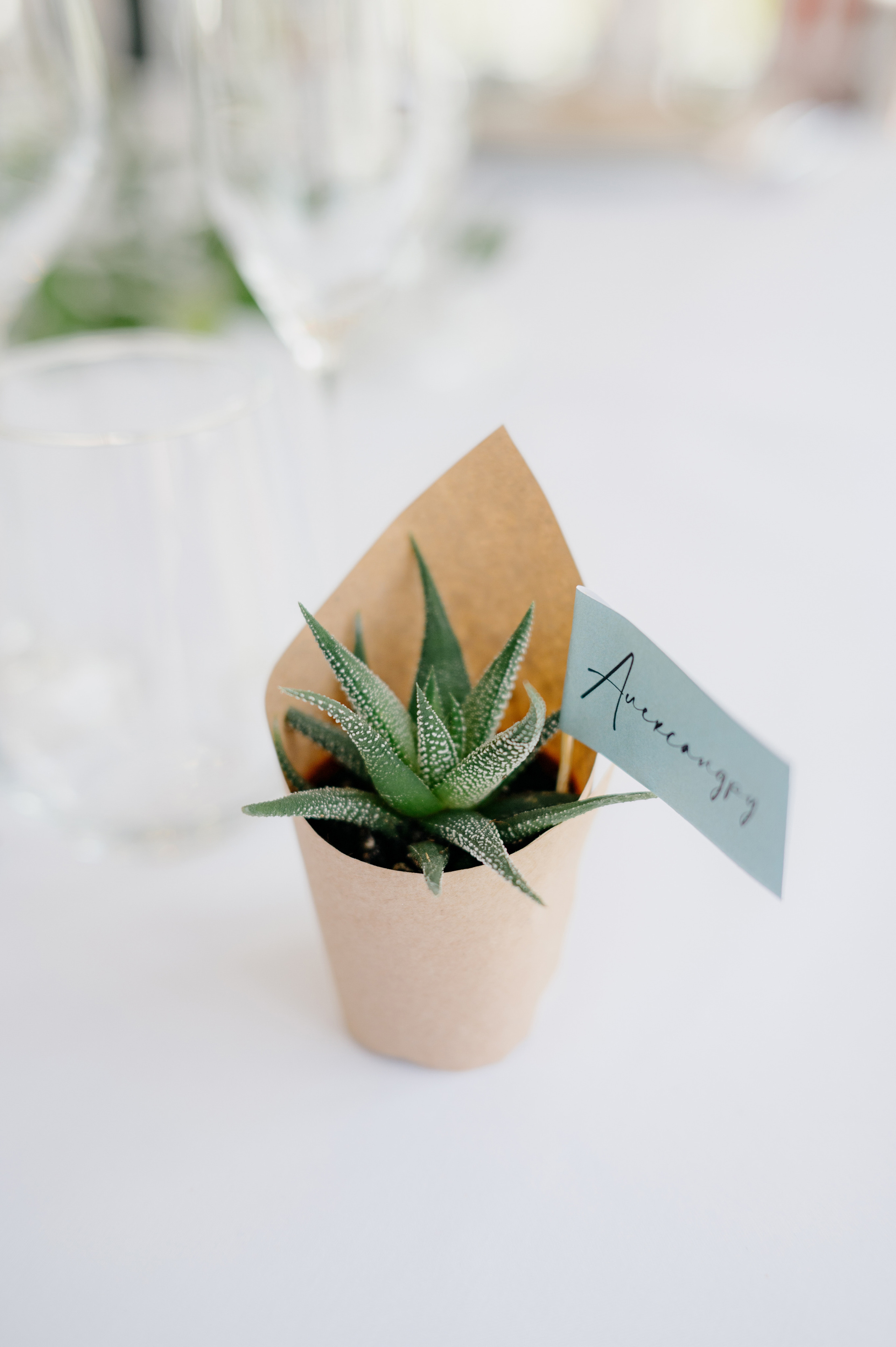 ДИМА И ЛЕНА. Свадебный и семейный фотограф Никита Корохов