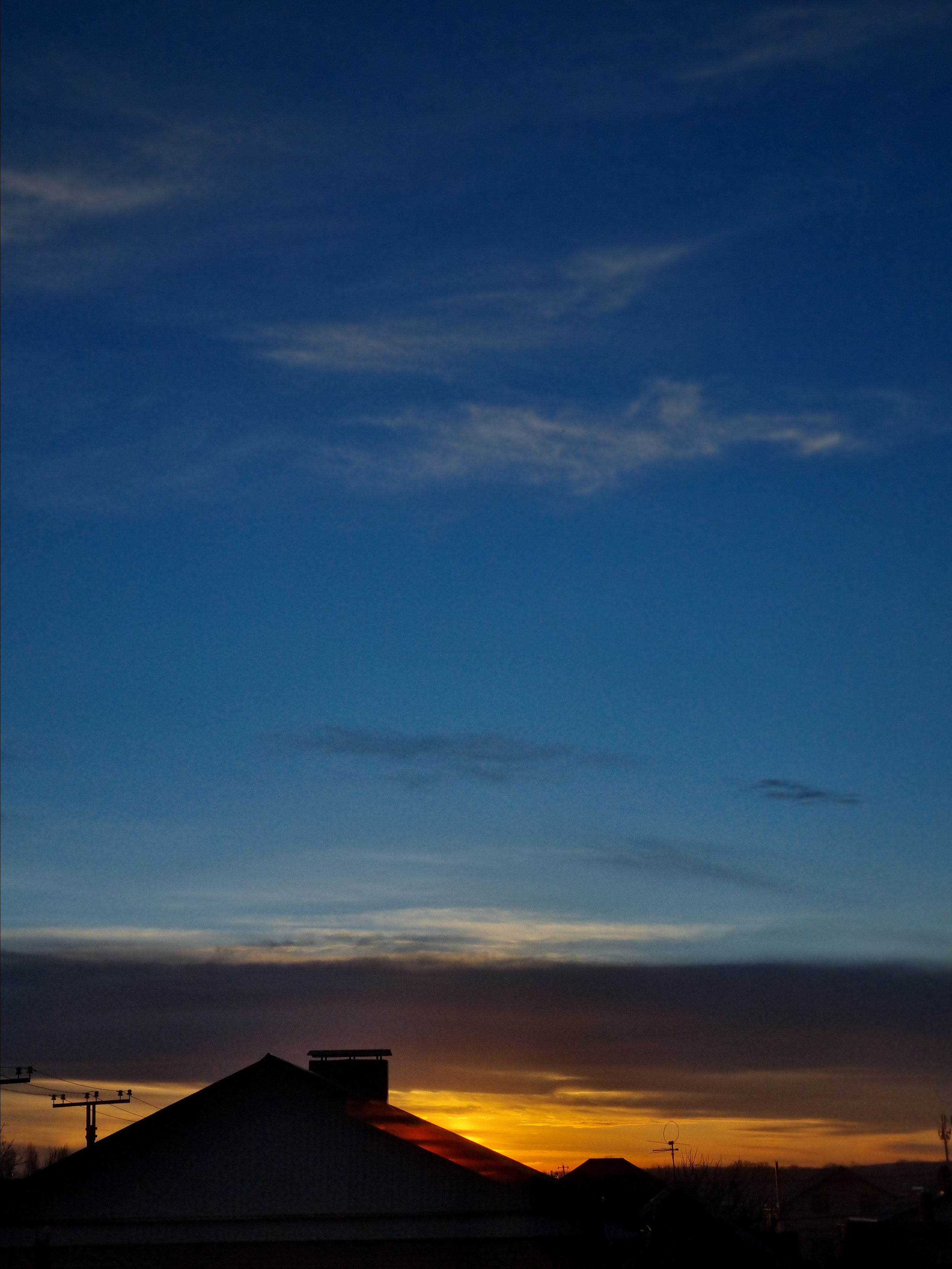 Распродажа курса: «Мобильная фотография». Алла Шевченко — продюсер — наставник