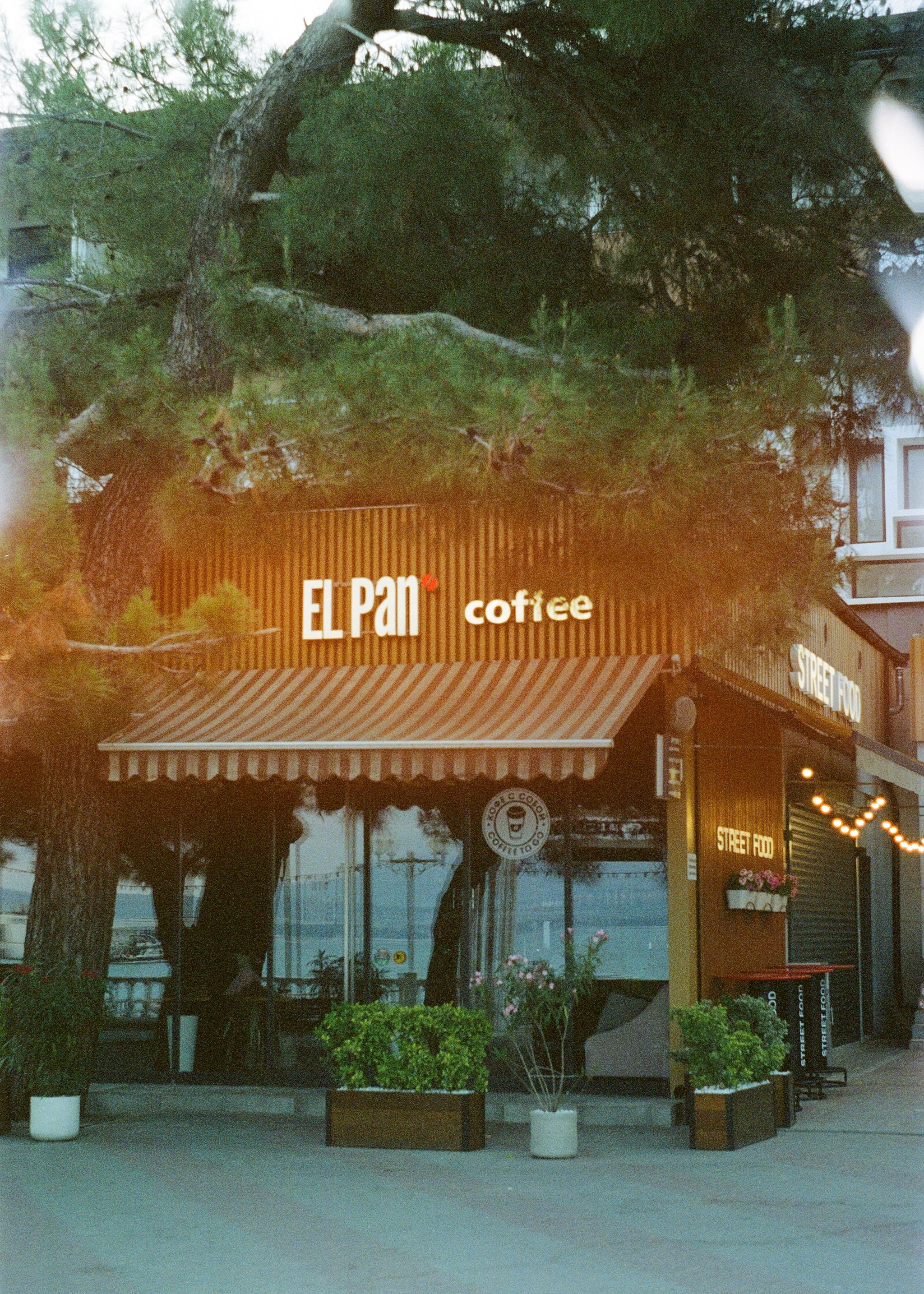 Кафе в городе Геледжик