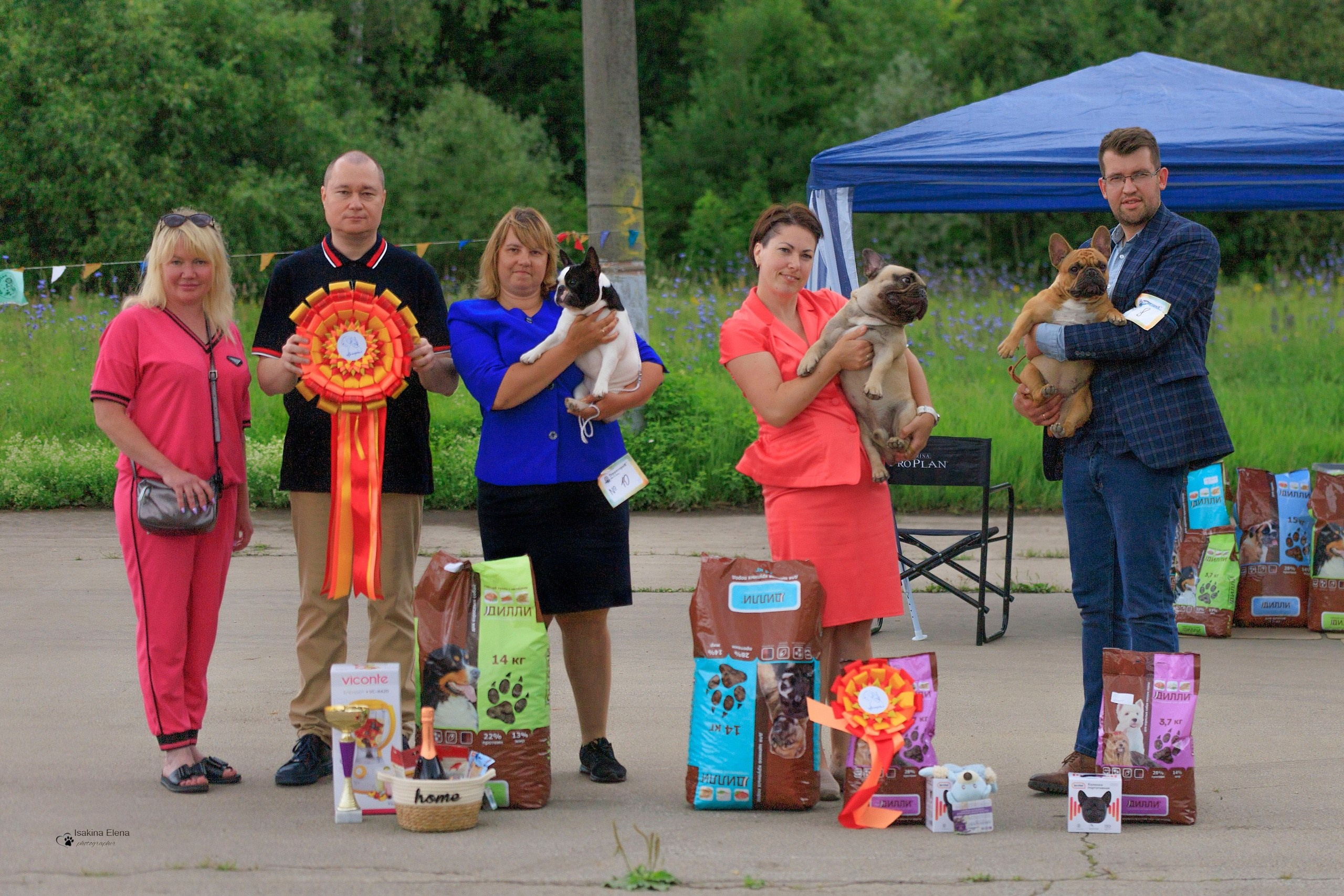 Выставки. Купить щенка Вельш-корги-кардиган в семейном питомнике — Ice Fantasy