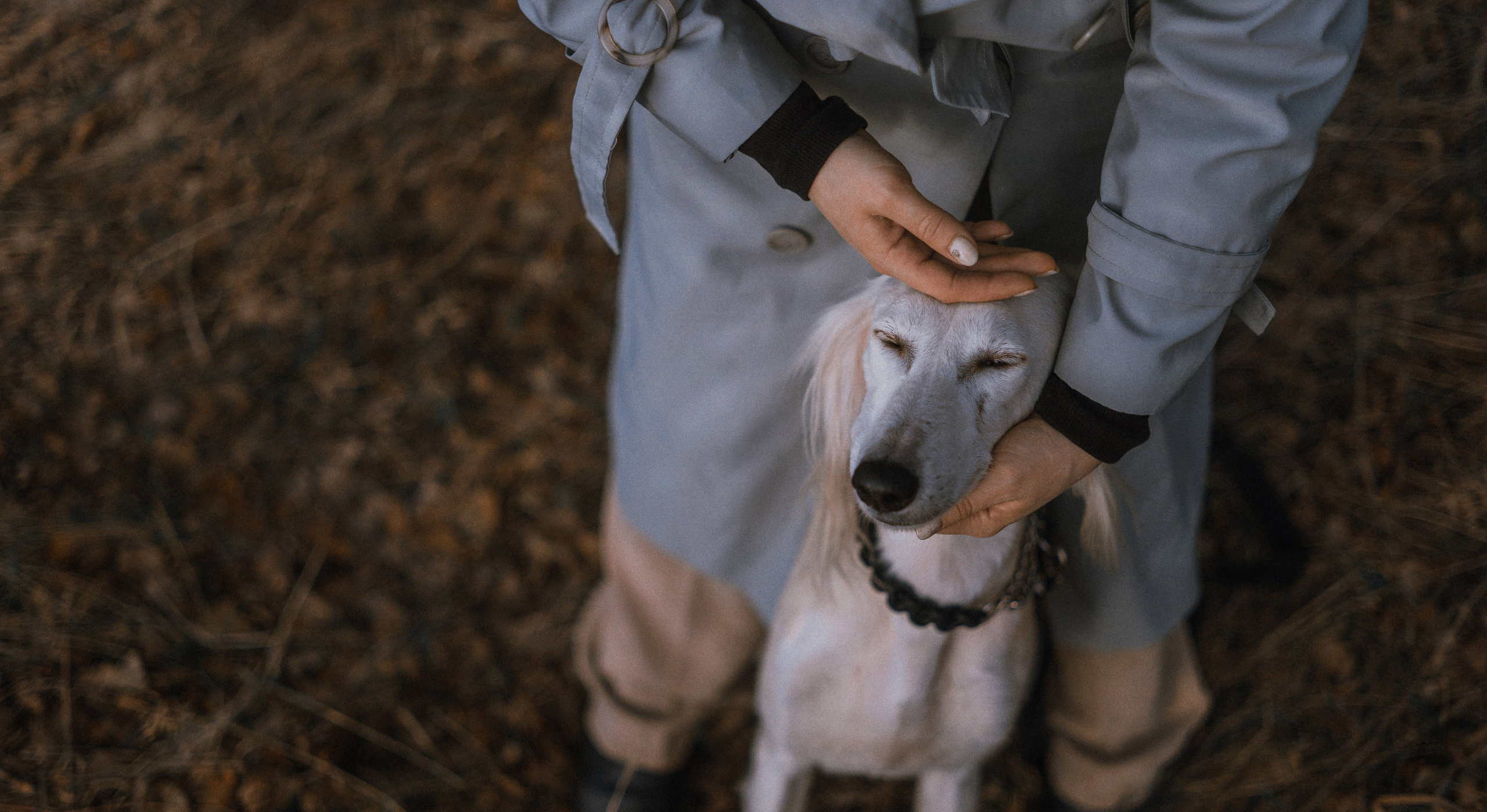 Настя и Бейда. Фотограф-анималист Богданова Полина