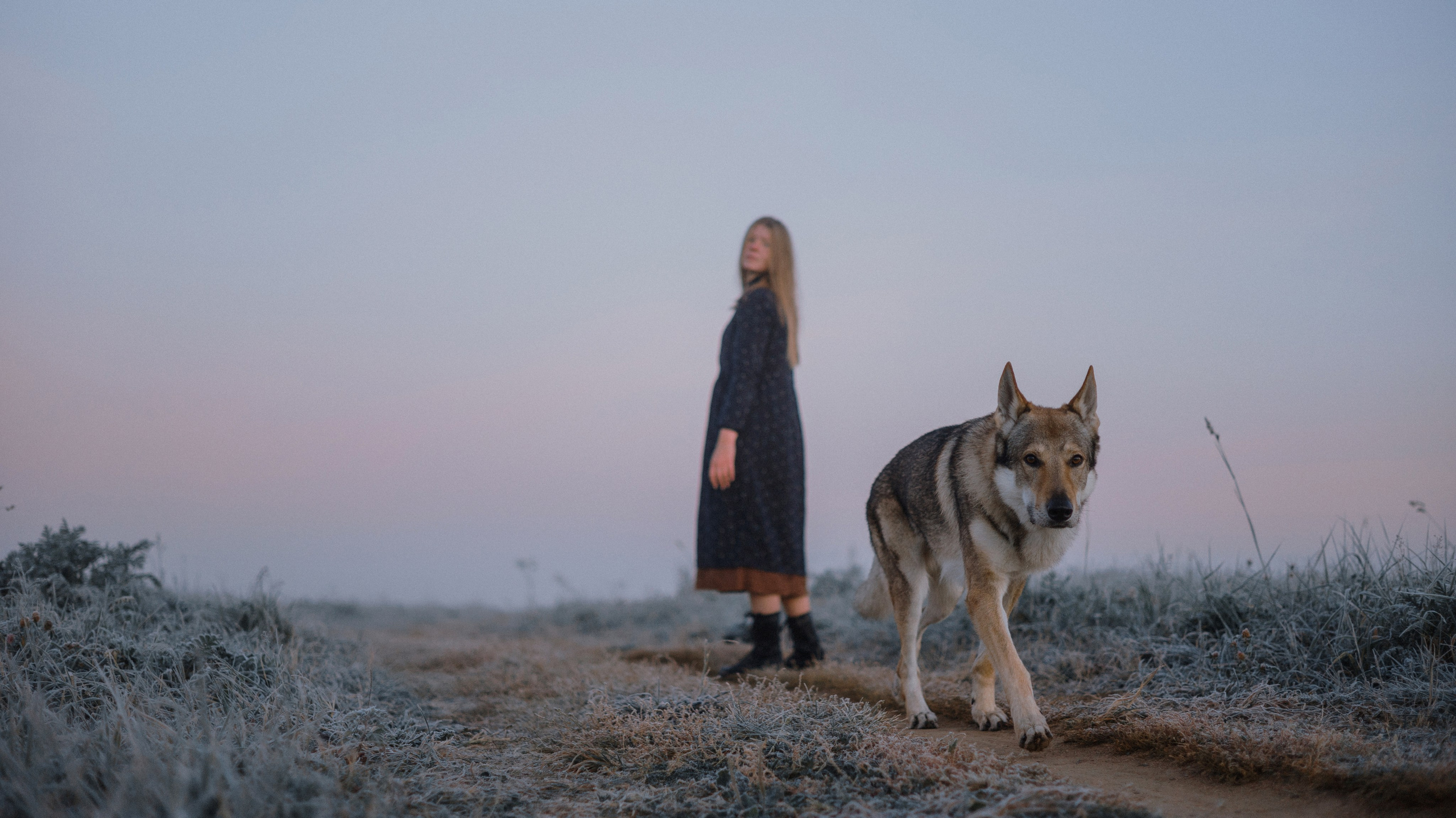 Полина и Вегард. Фотограф-анималист Богданова Полина