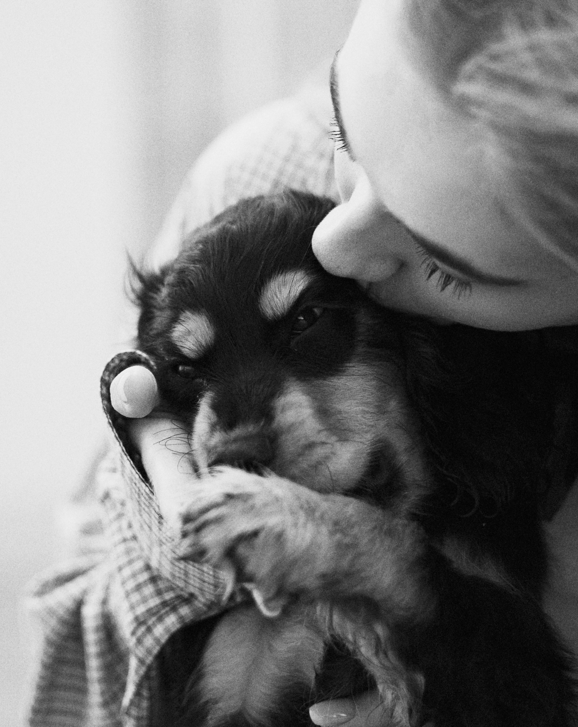 Аня и Ривер. Фотограф-анималист Богданова Полина