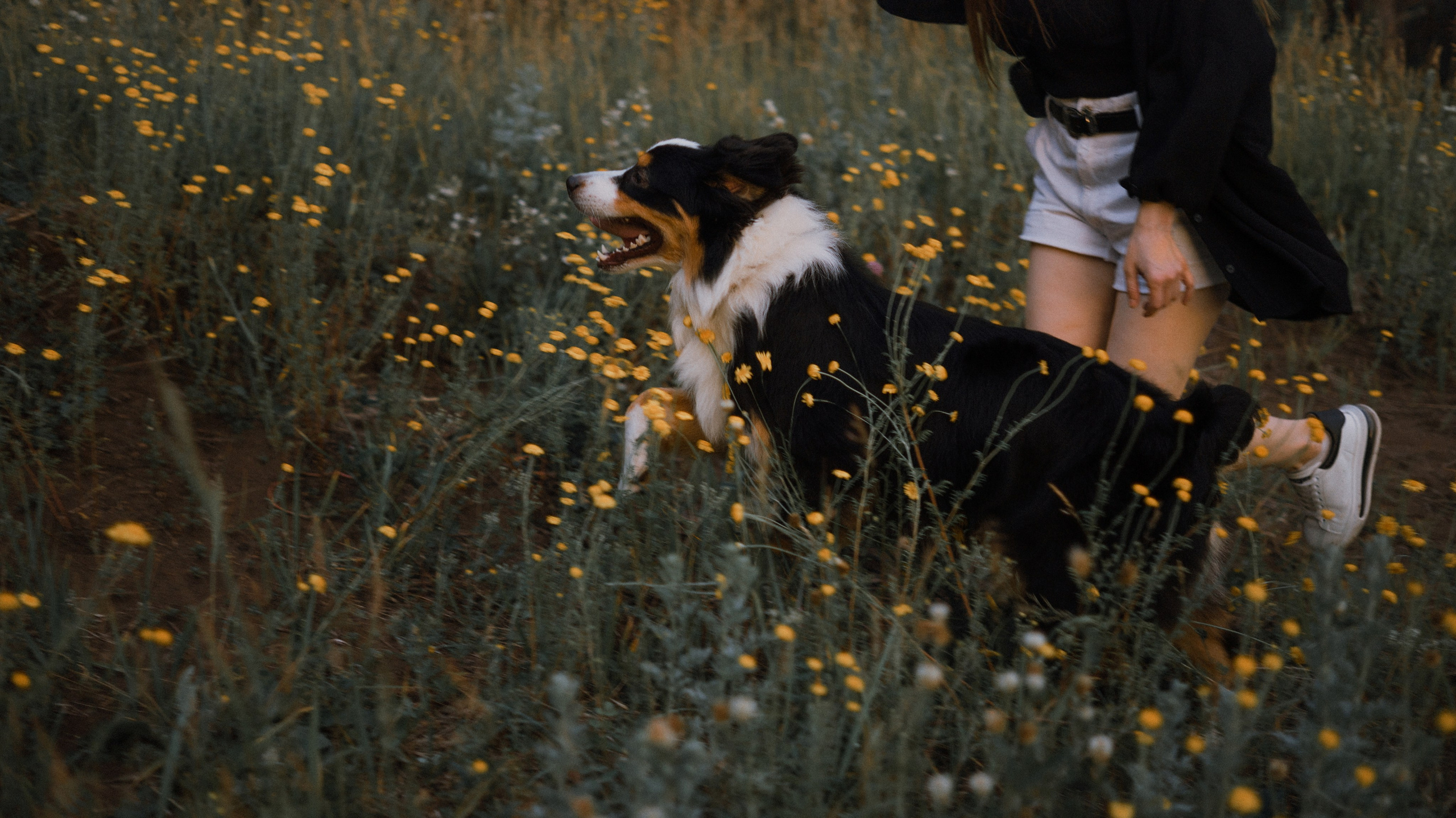 Яна и Уга. Фотограф-анималист Богданова Полина