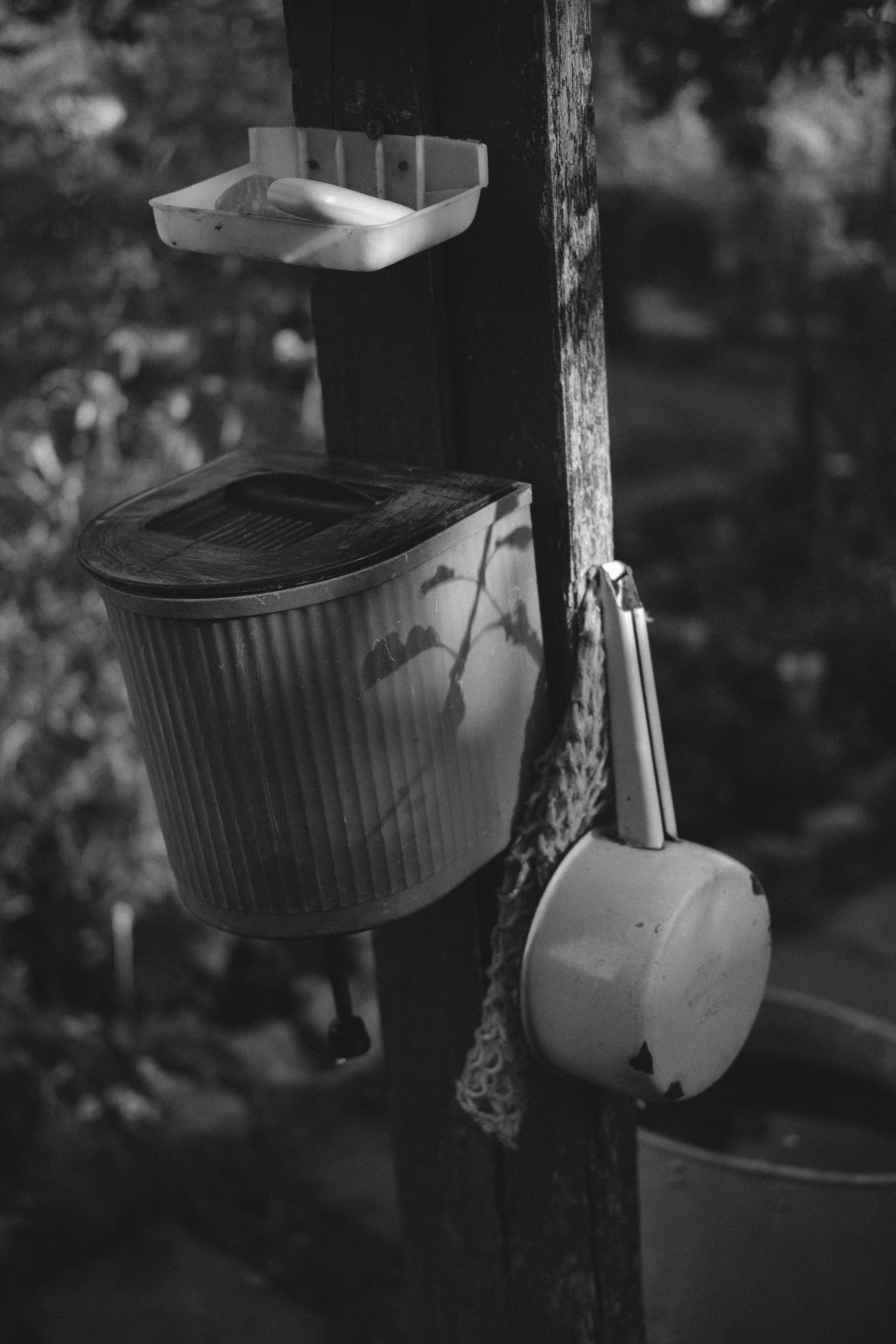 Жизнь сада. Works